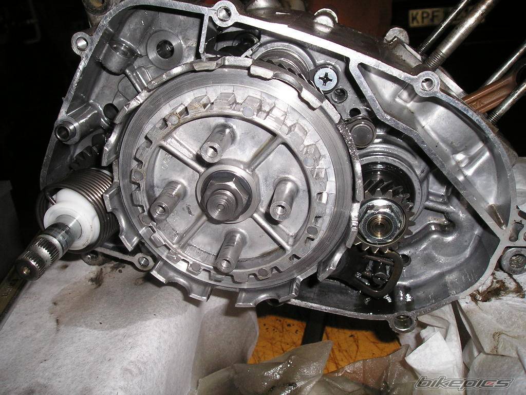 Bike Photo 240448
