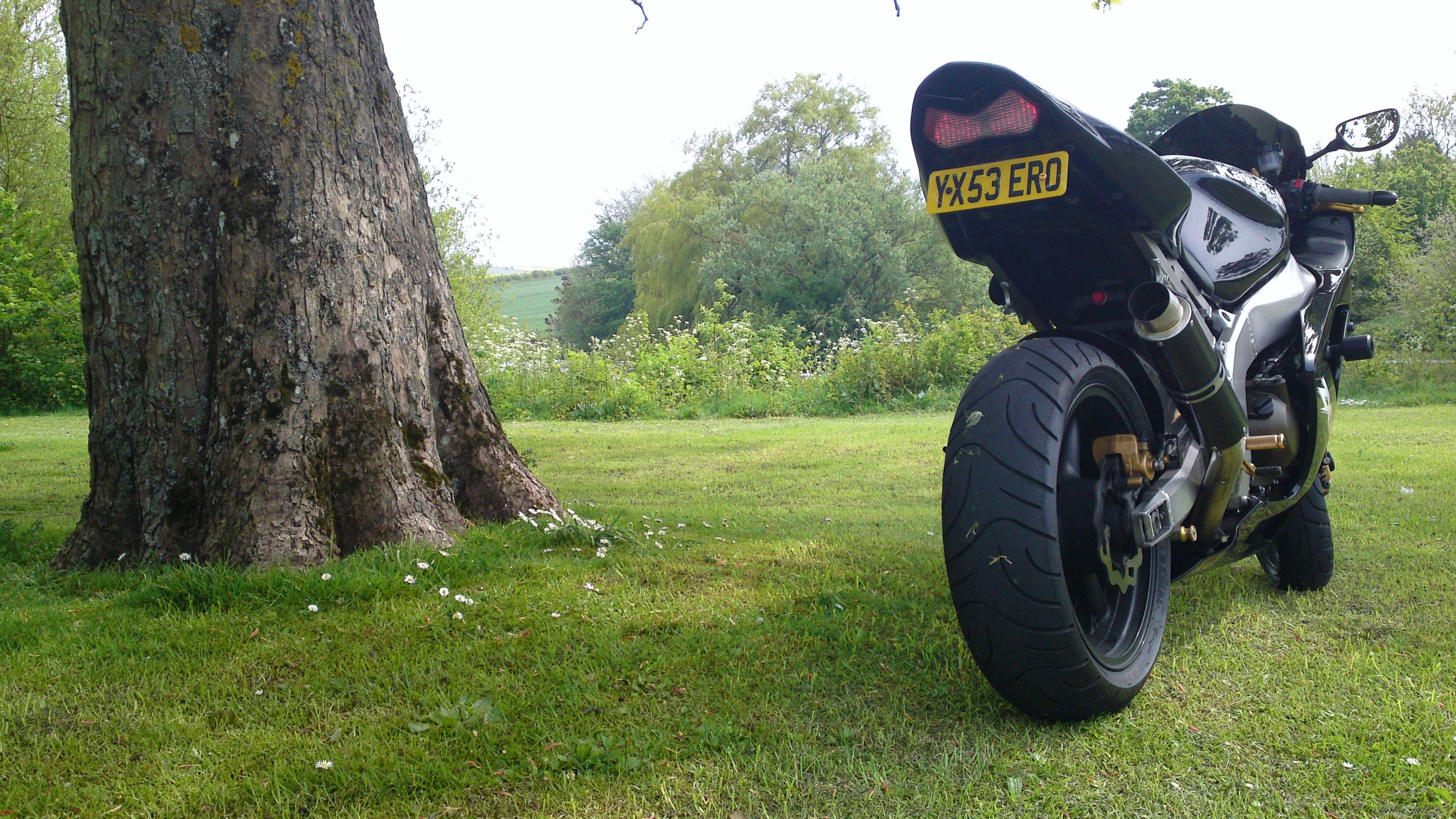 Photo 2404524