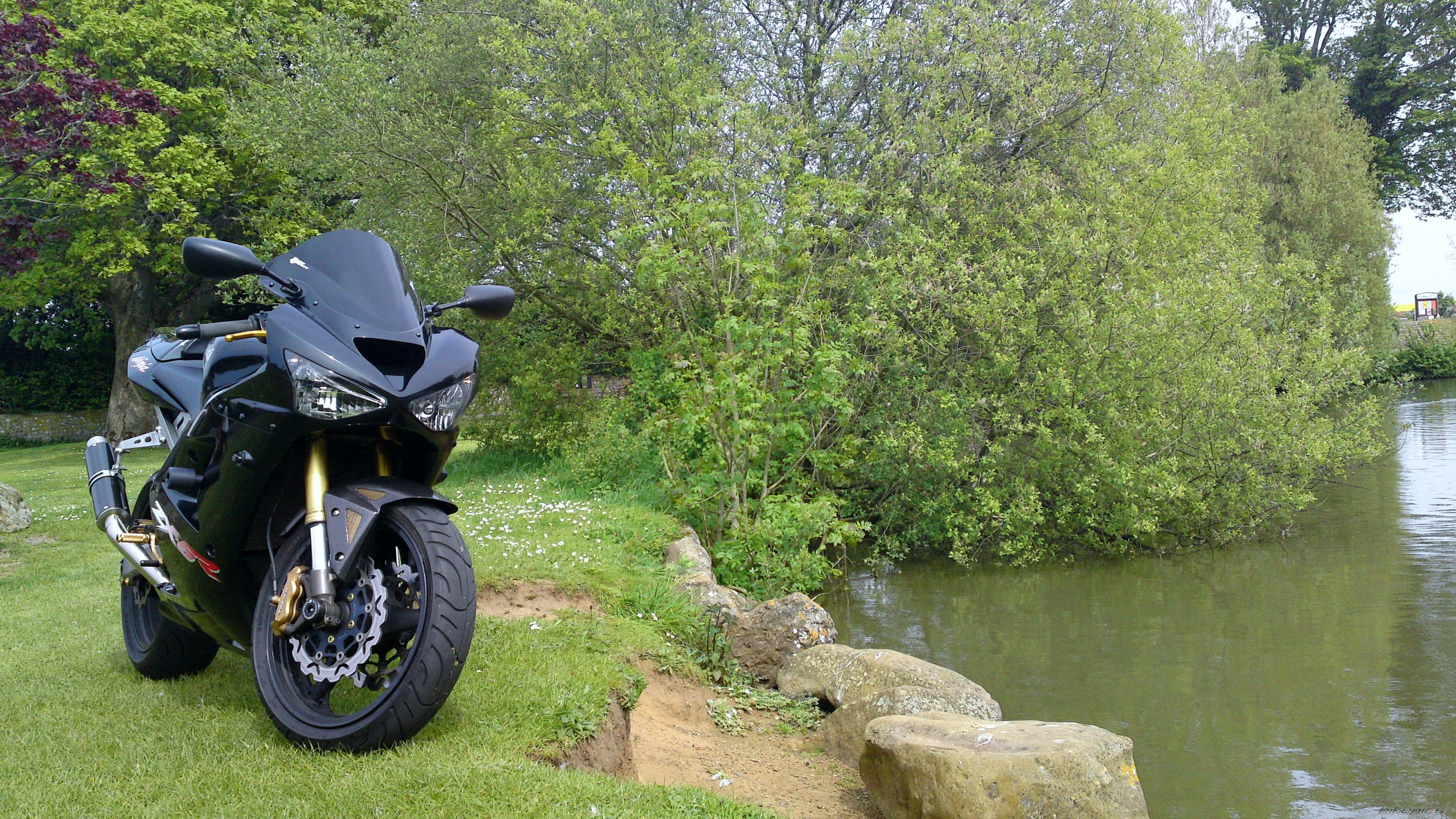 Photo 2404539