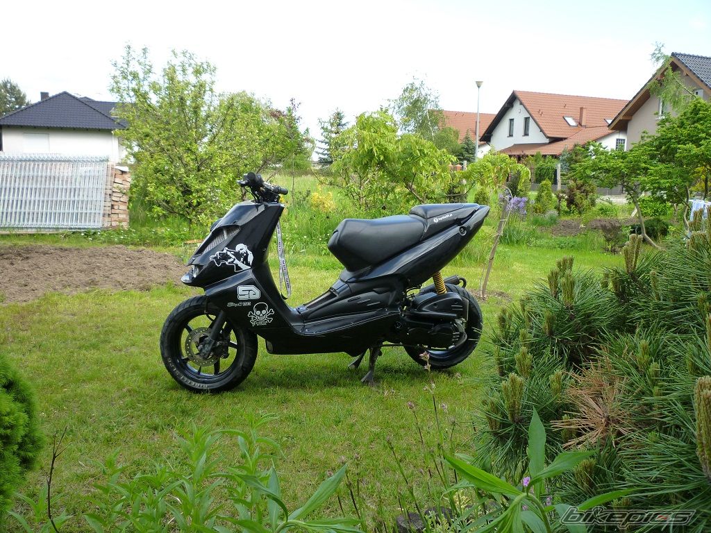 Photo 2404594