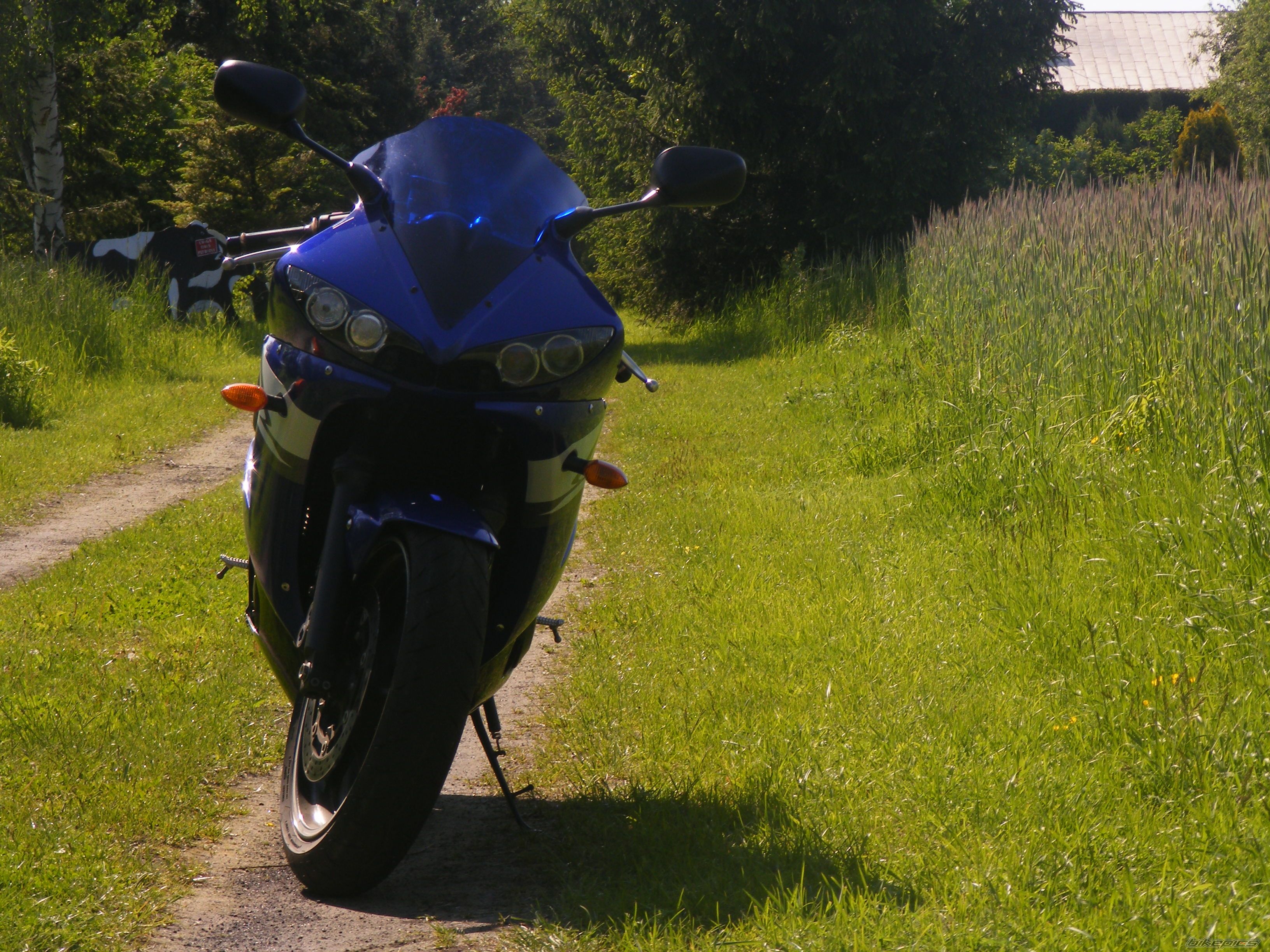 Photo 2404612