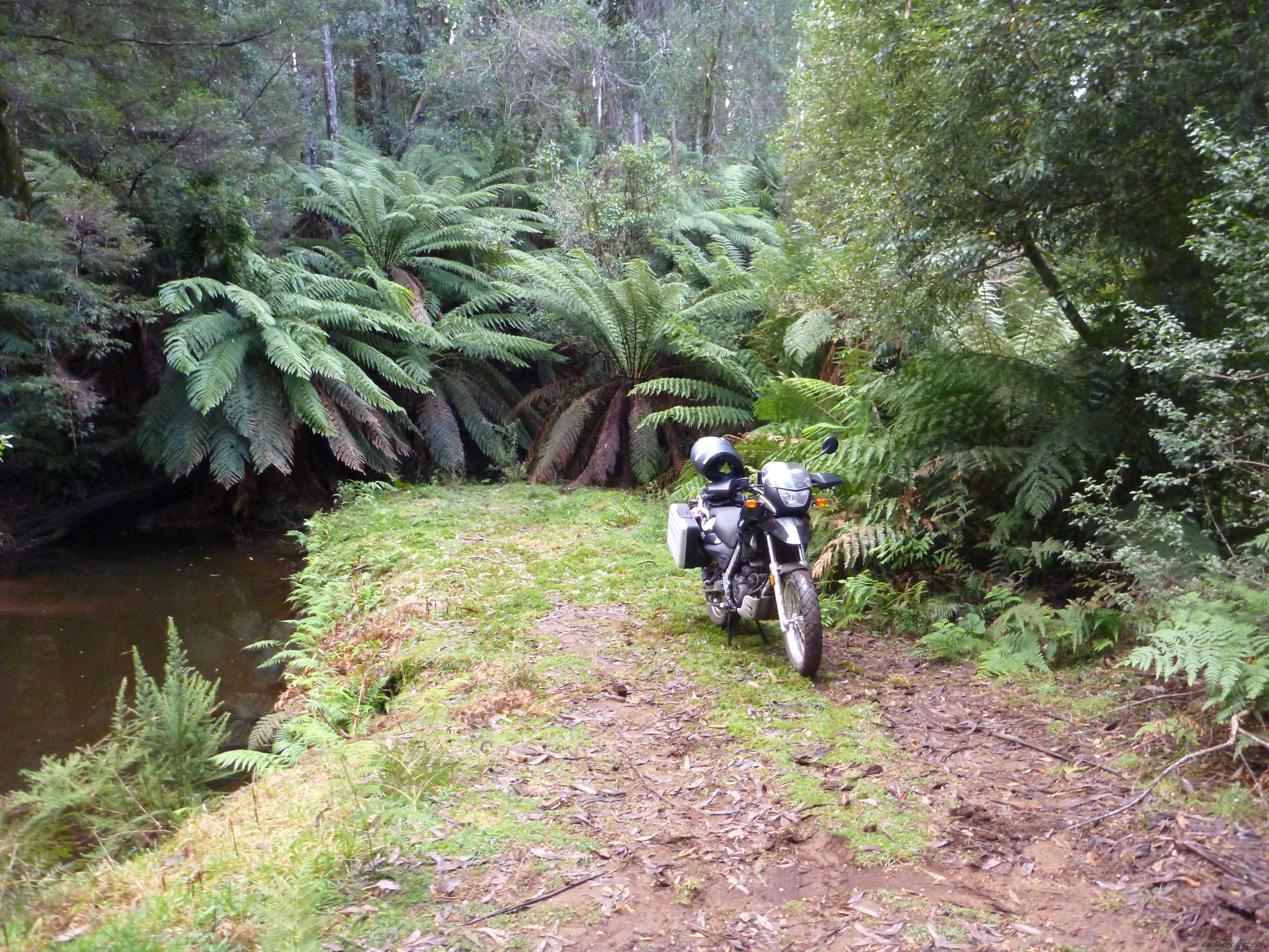 Photo 2404845