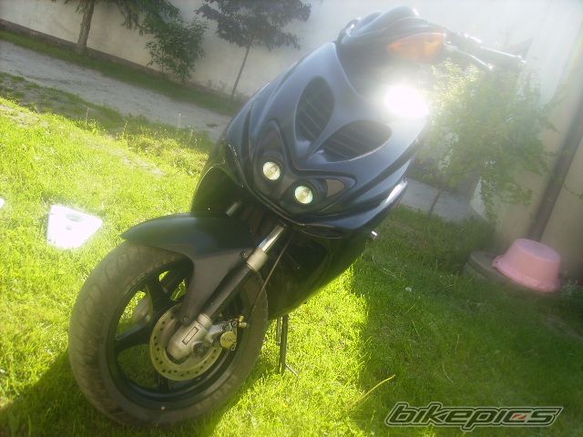 Photo 2404879