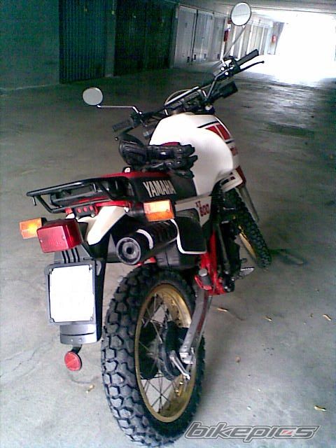 Photo 2405221
