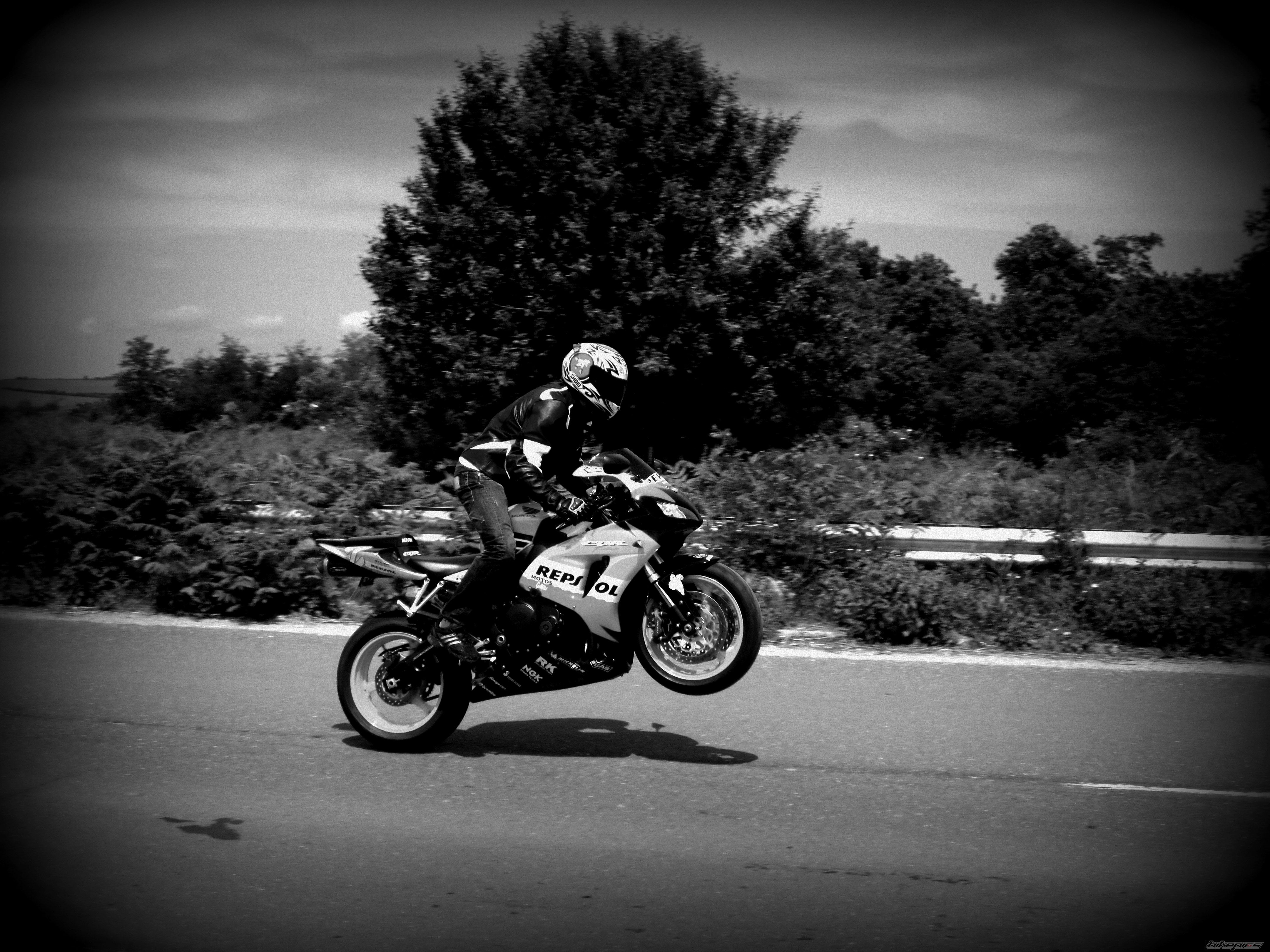 Photo 2405259