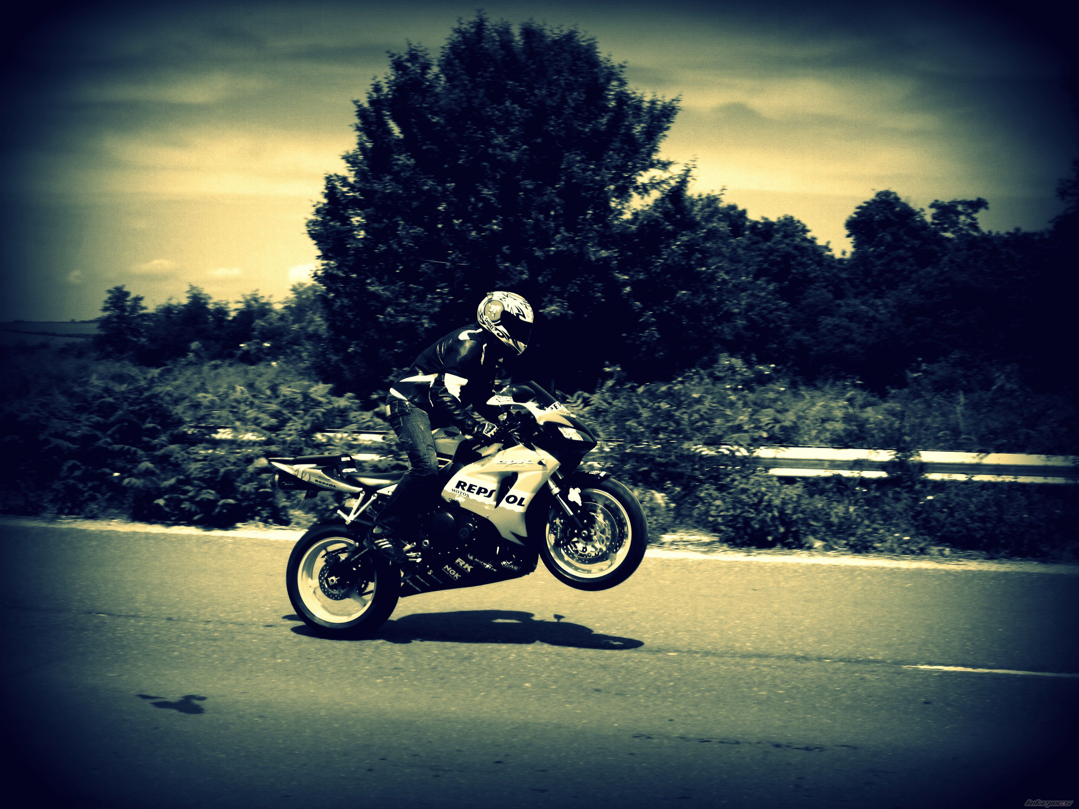 Photo 2405260