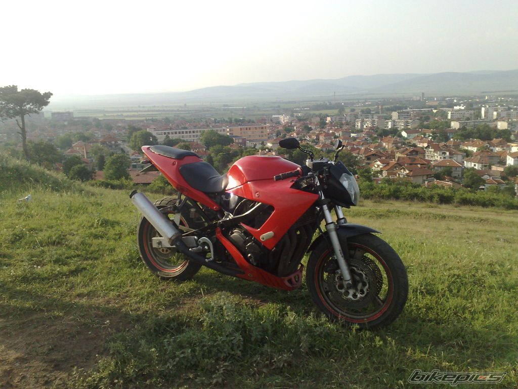 Photo 2405264