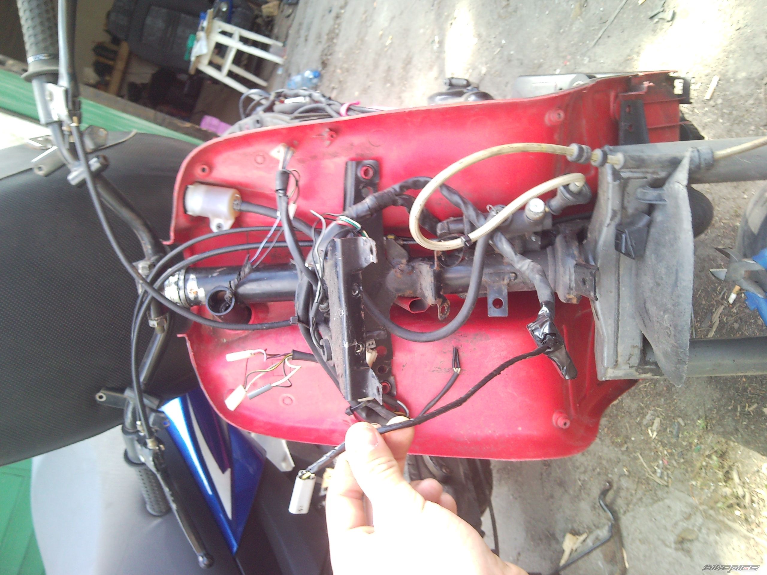Photo 2405271