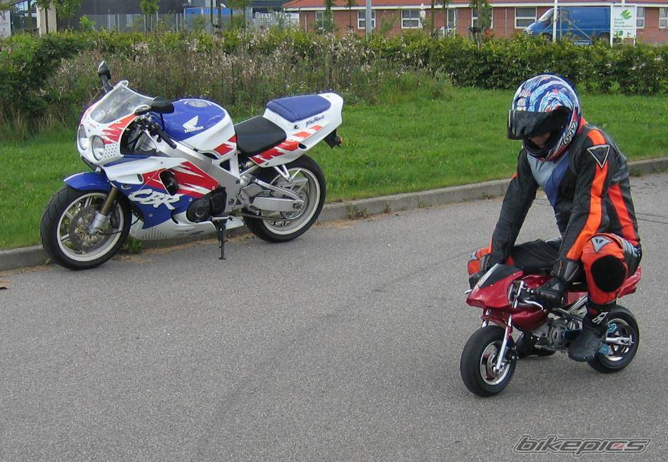 Photo 240532