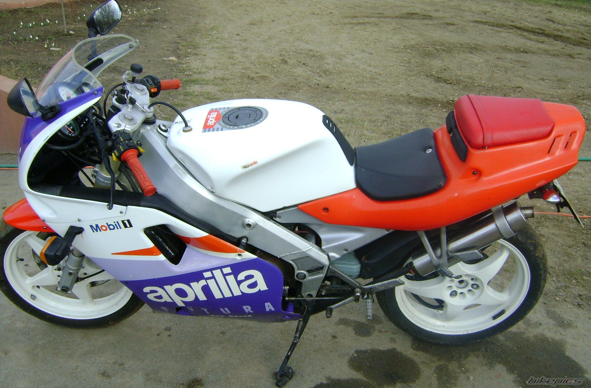 Photo 2405493