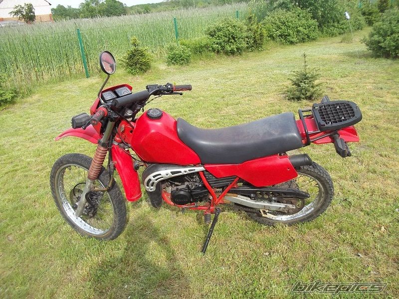 Photo 2405554