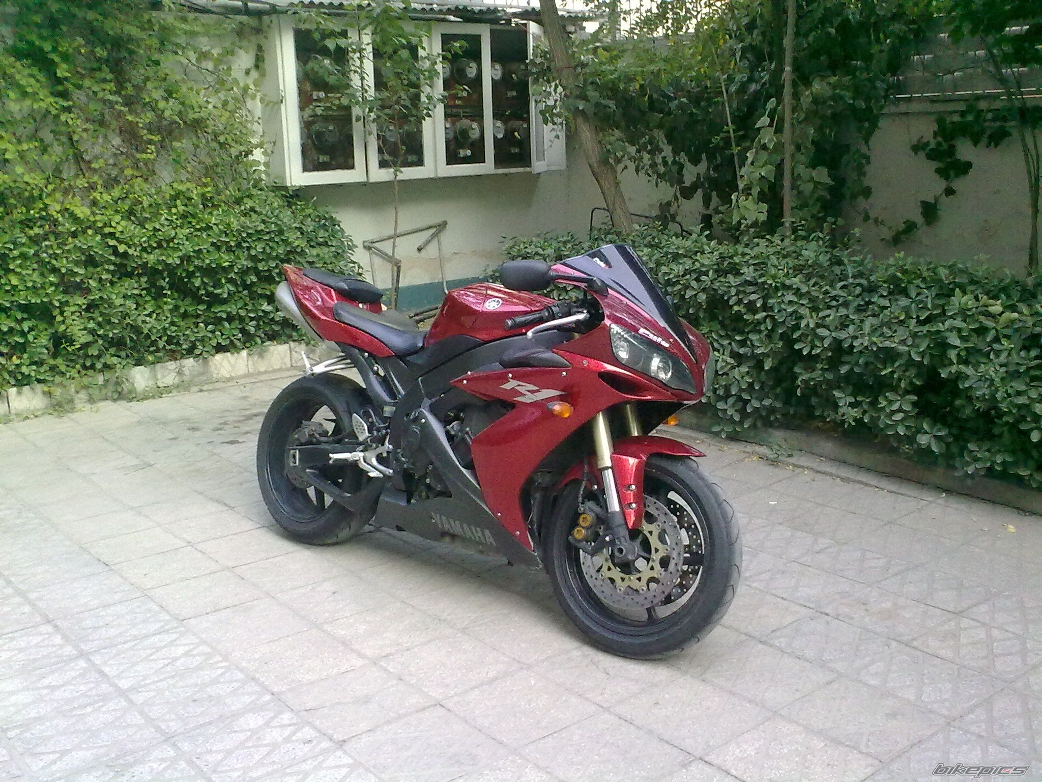 Photo 2405692