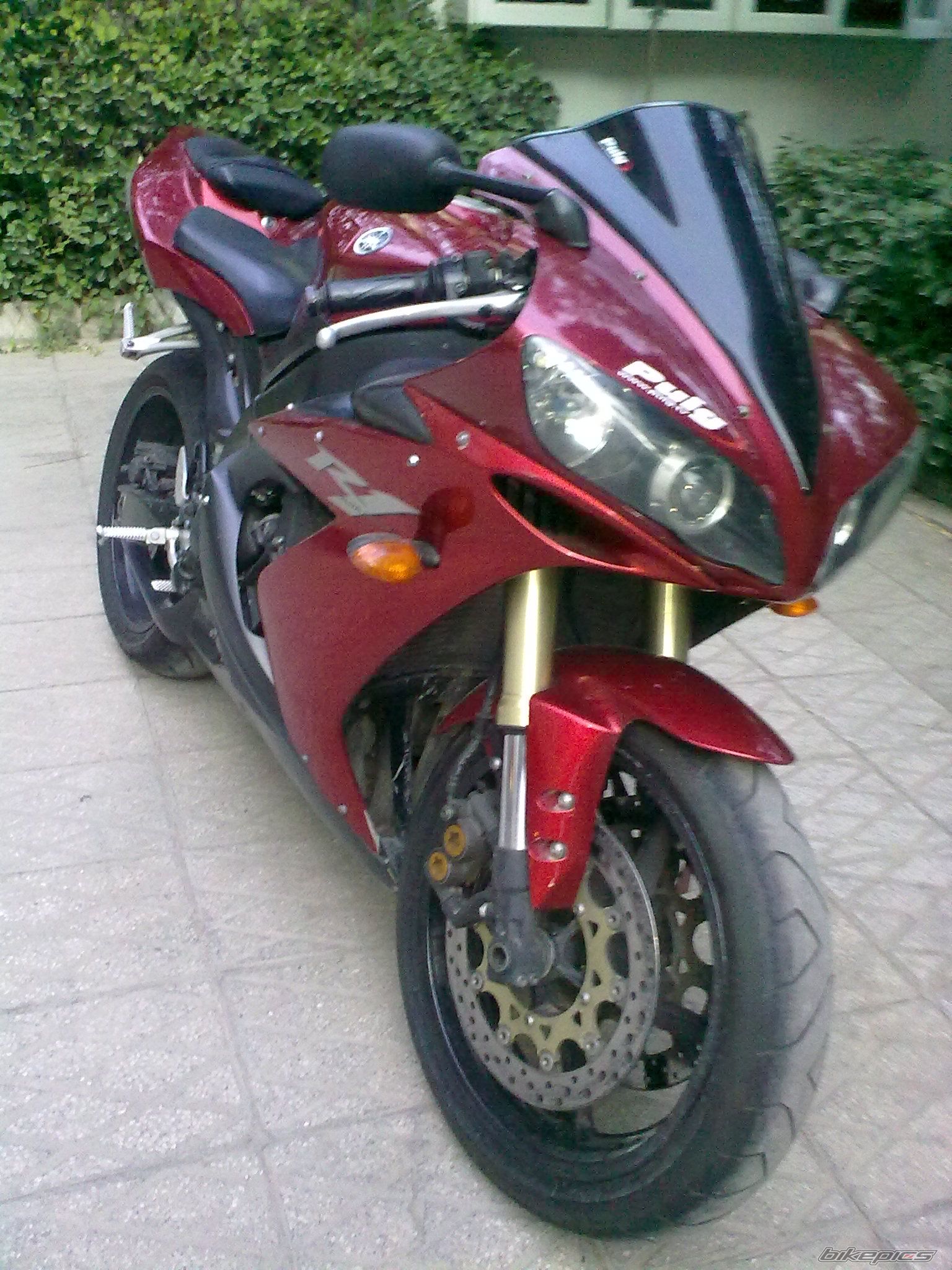 Photo 2405694