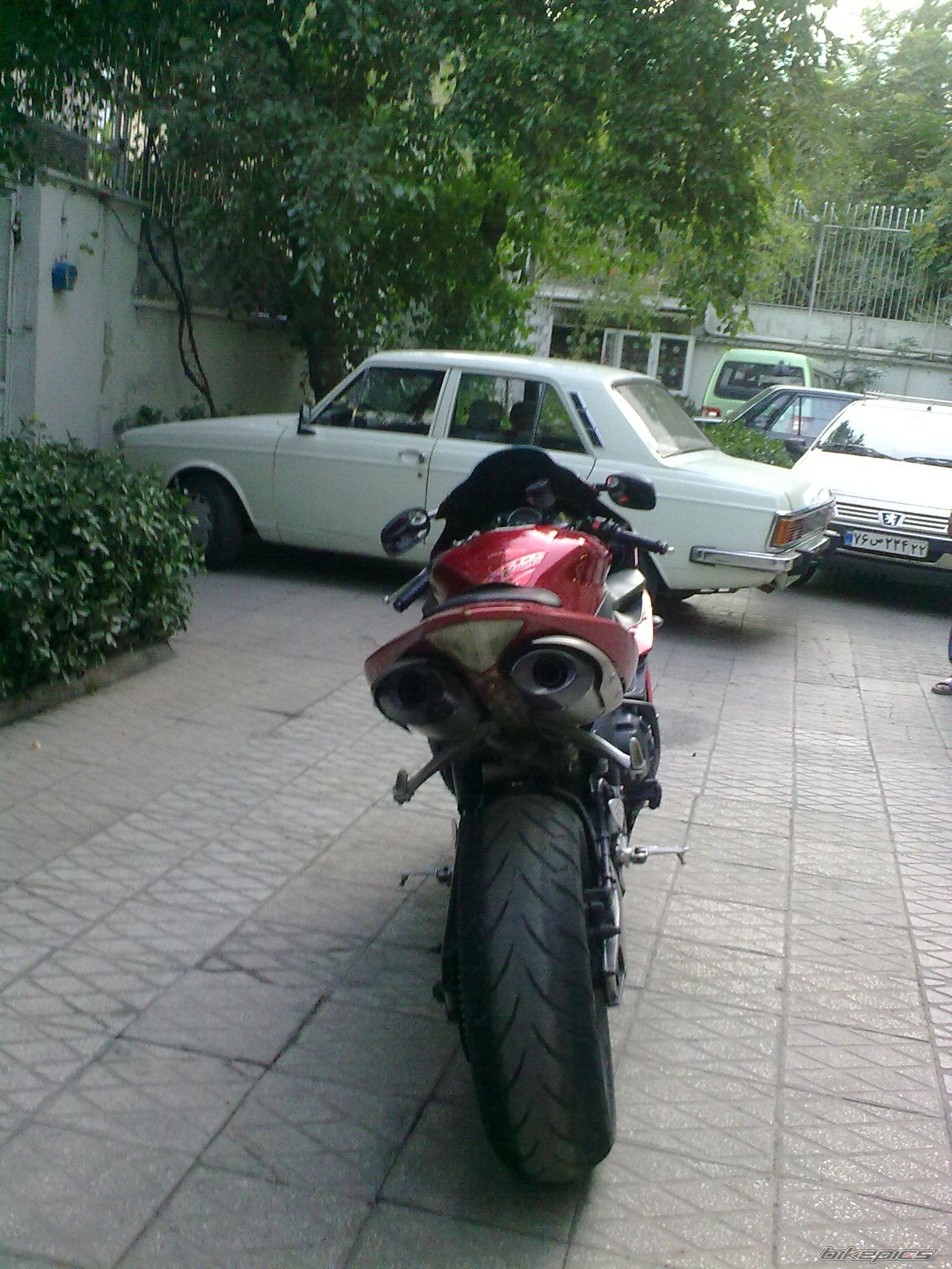 Photo 2405695