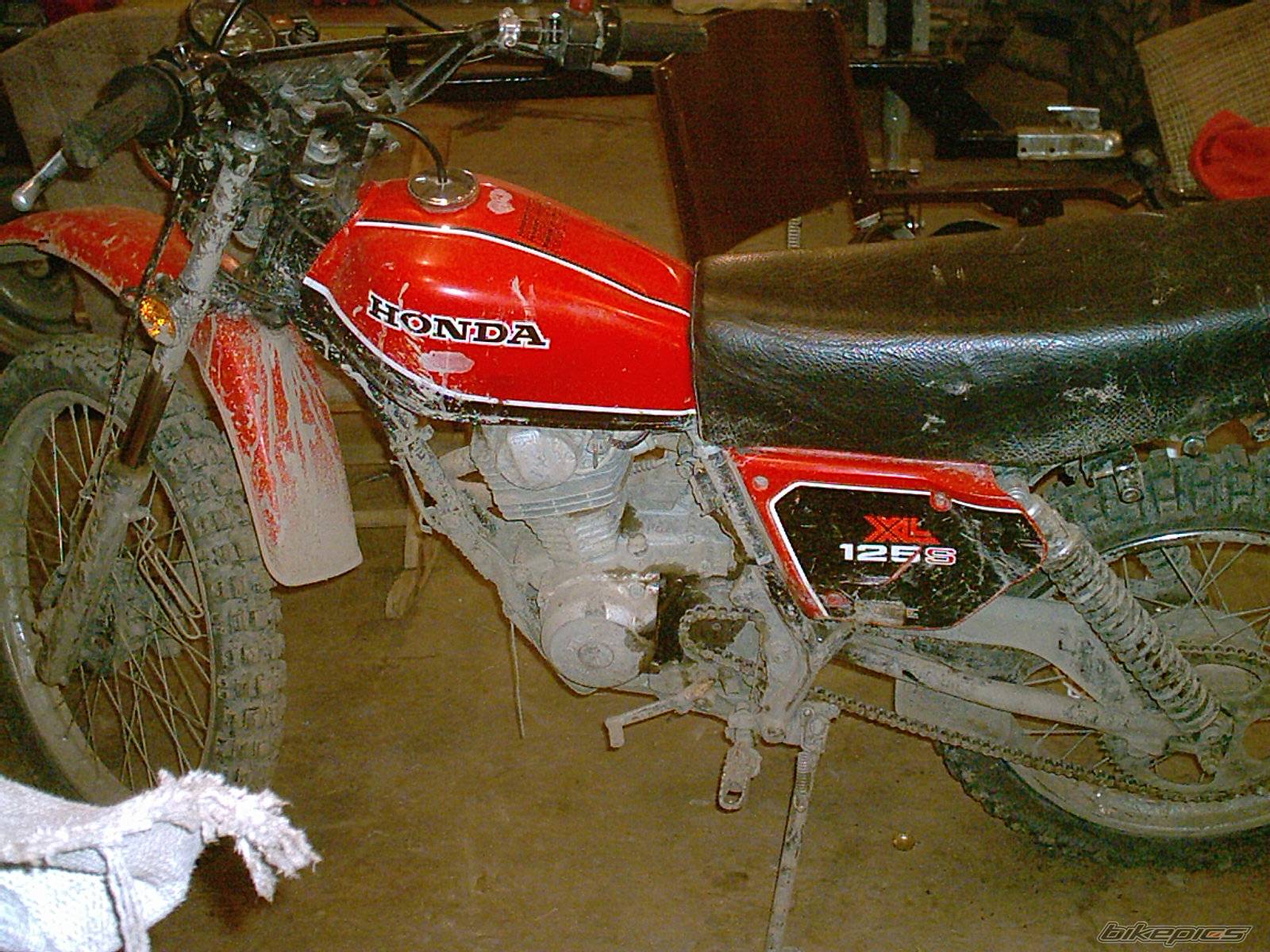 Bike Photo 240579