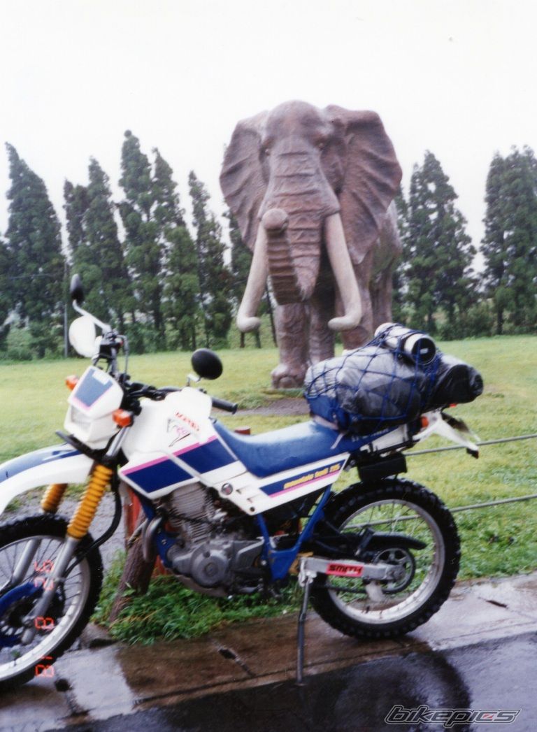 Bike Photo 2405804