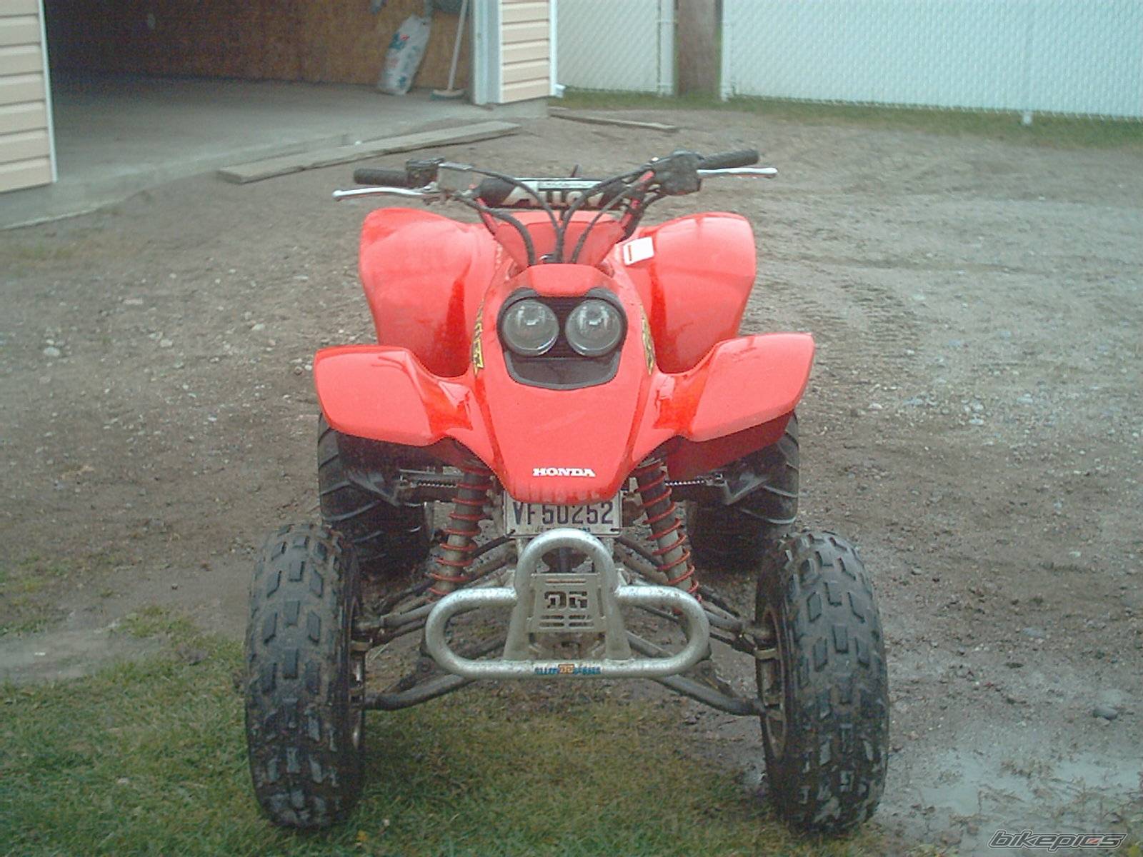 Photo 240584