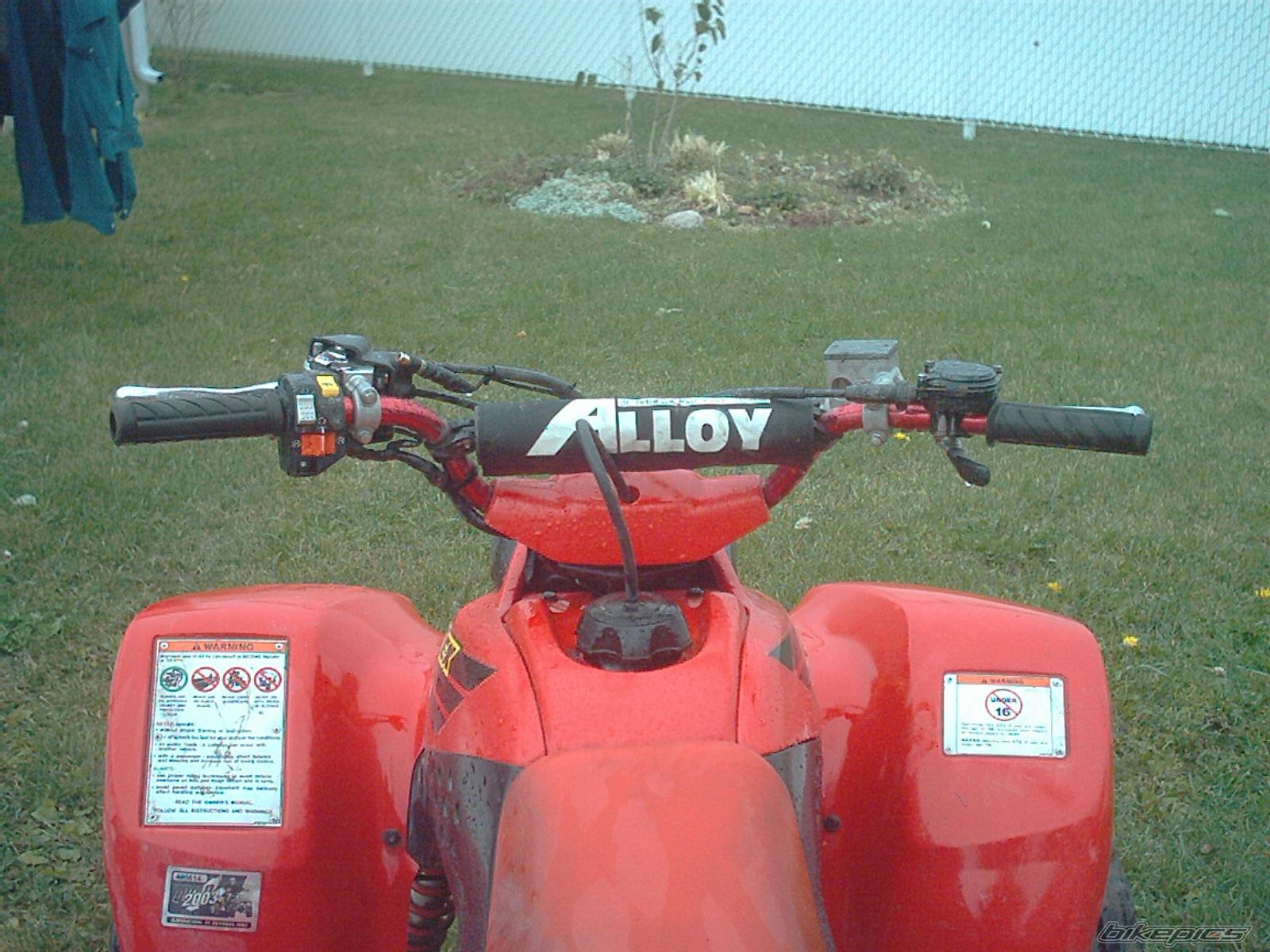 Photo 240586