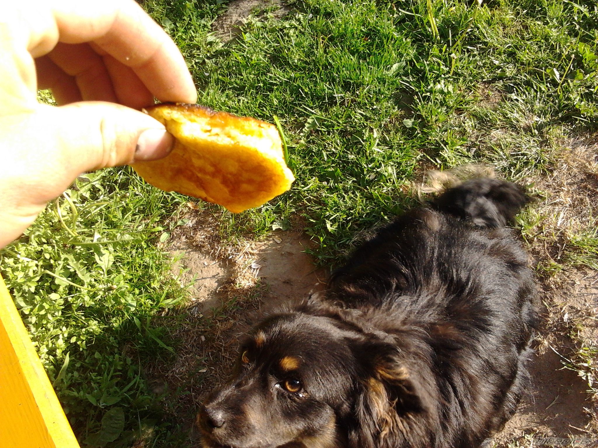 Photo 2405930