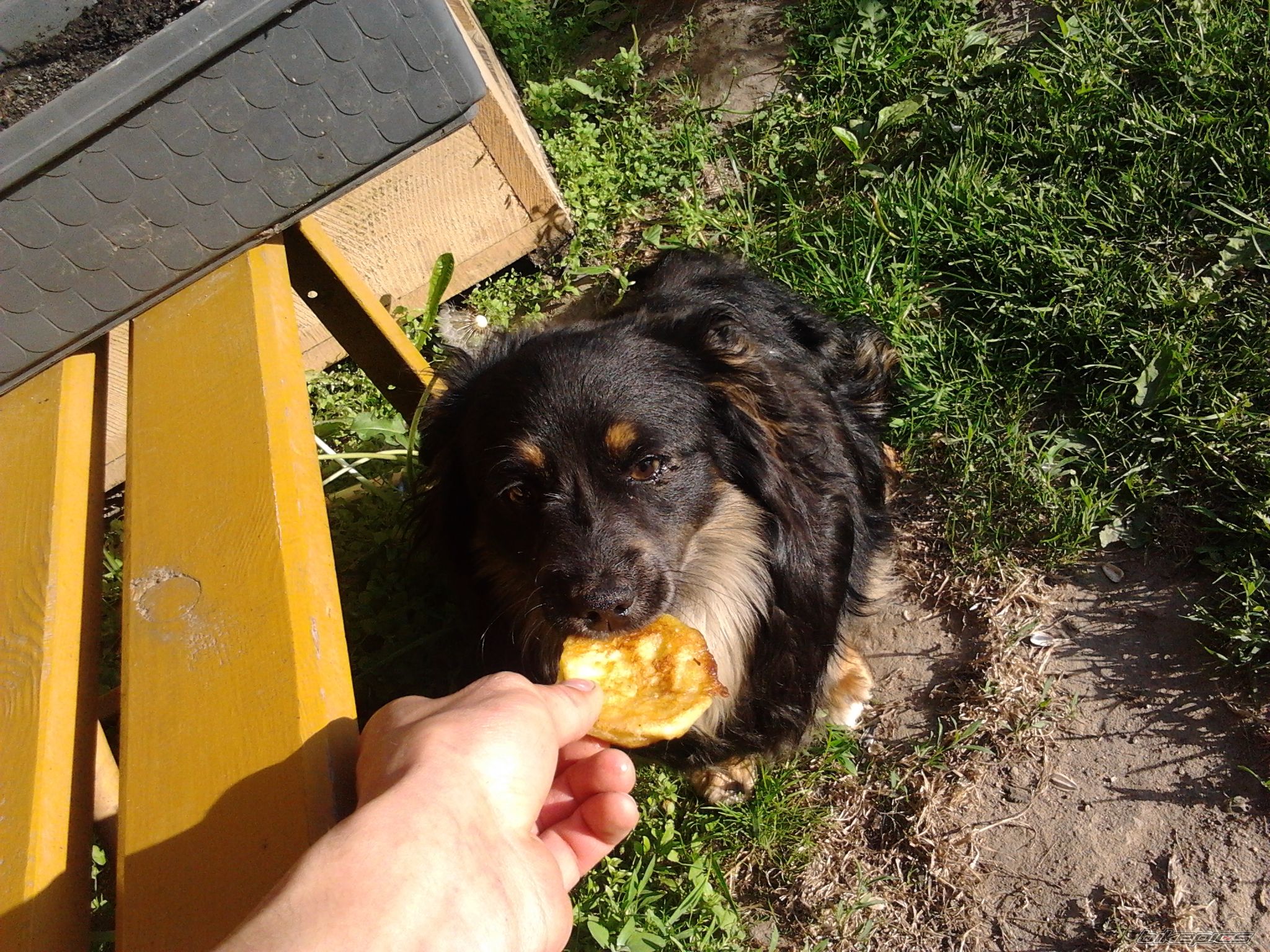Photo 2405931