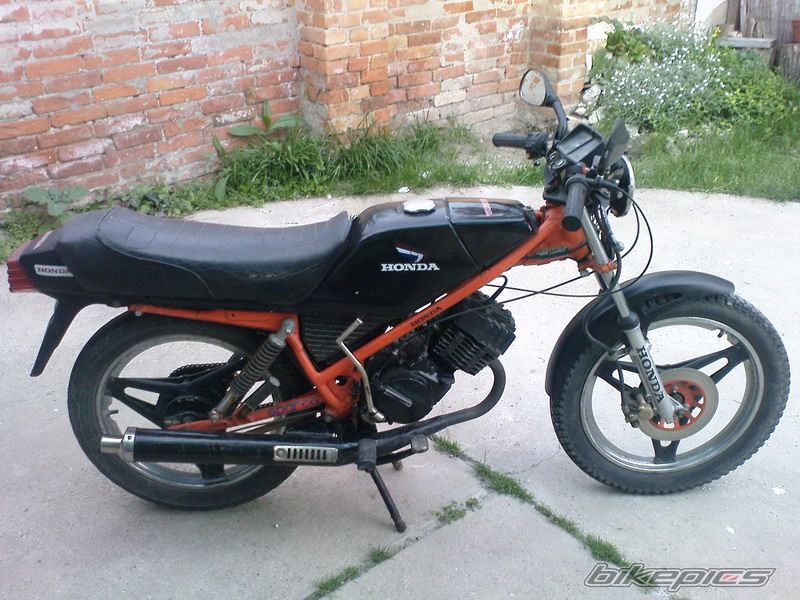 Photo 2406456