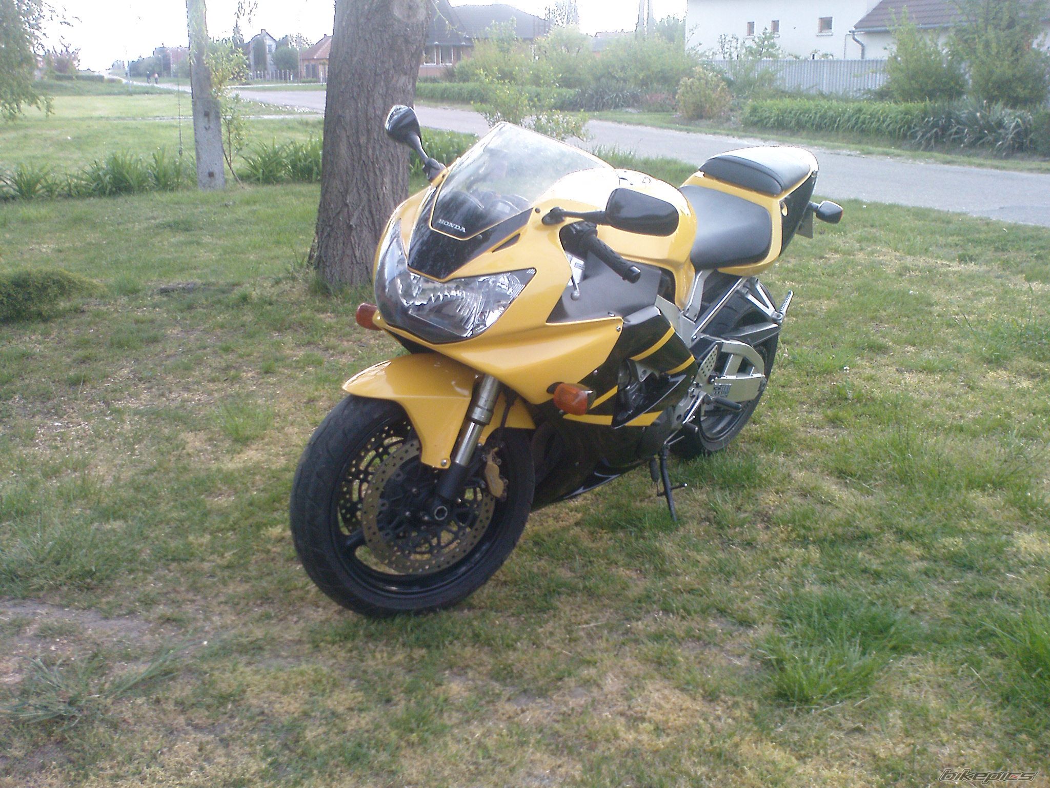 Photo 2406462