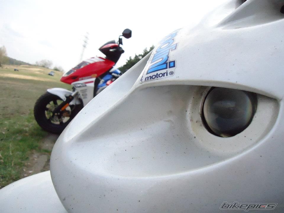 Photo 2406558