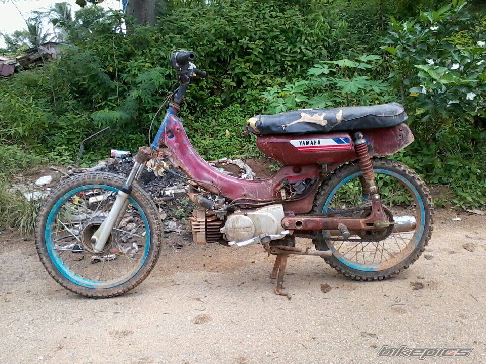 Photo 2406646