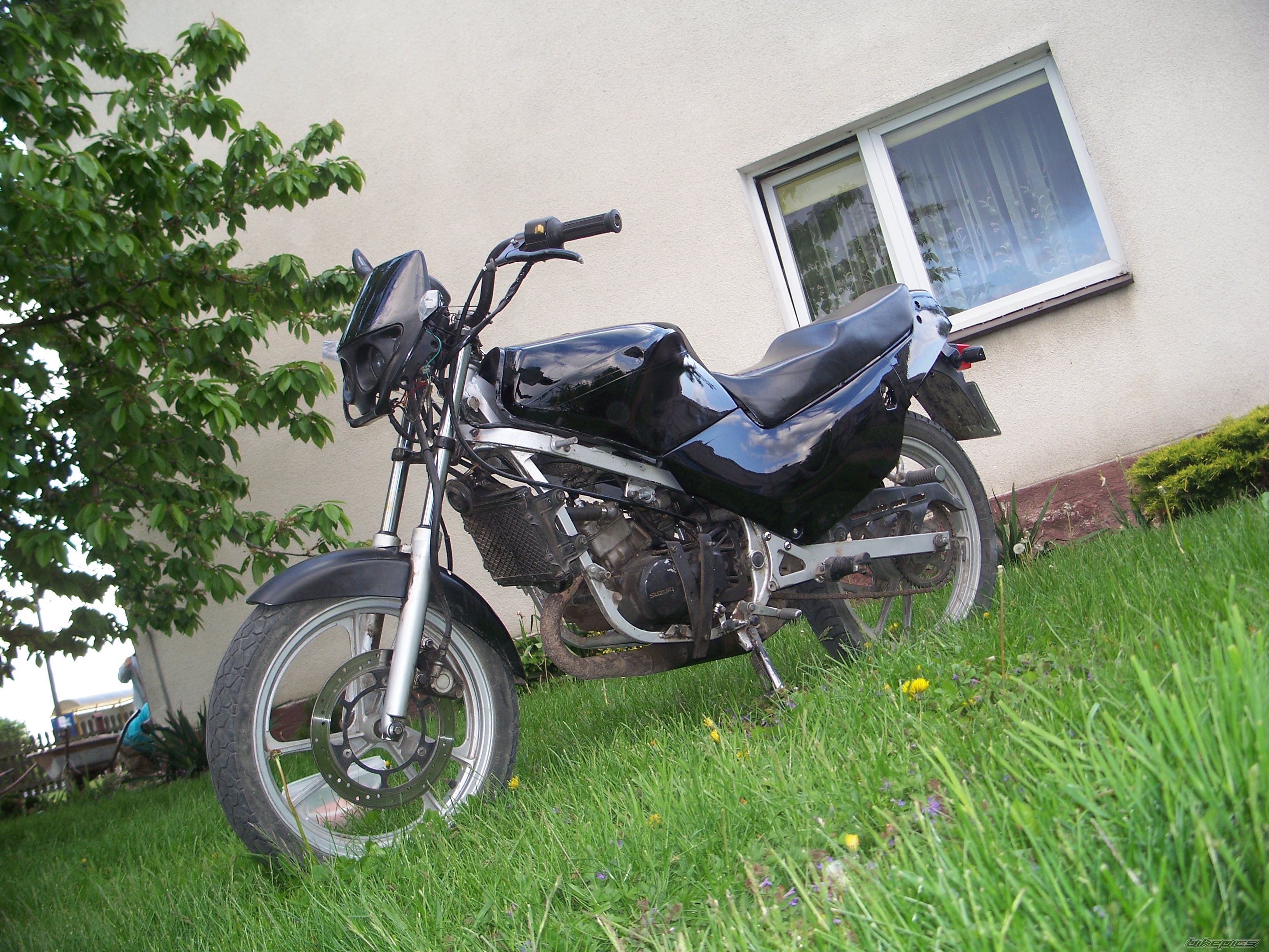 Photo 2406791