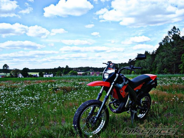 Photo 2406854