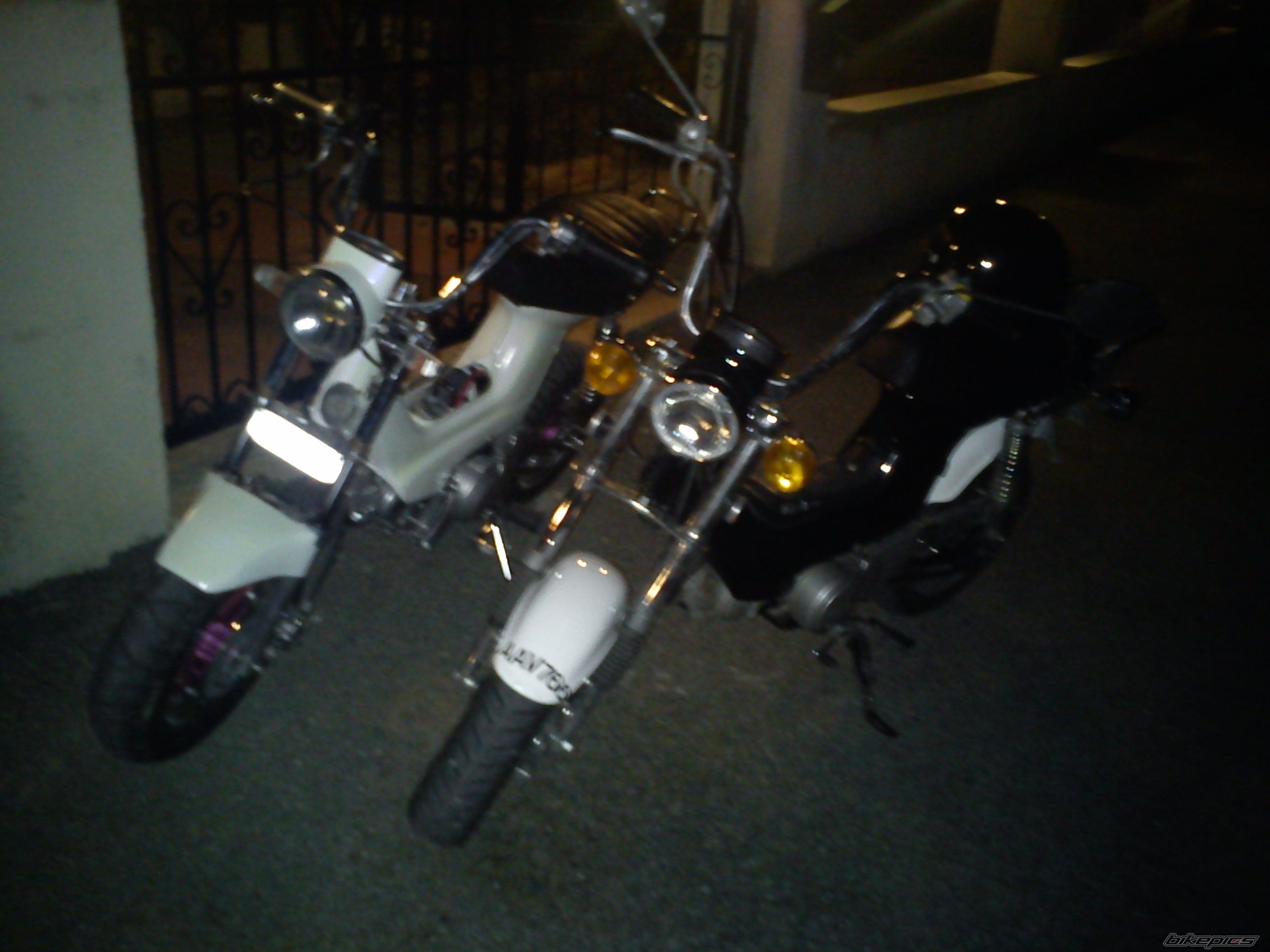 Photo 2406869