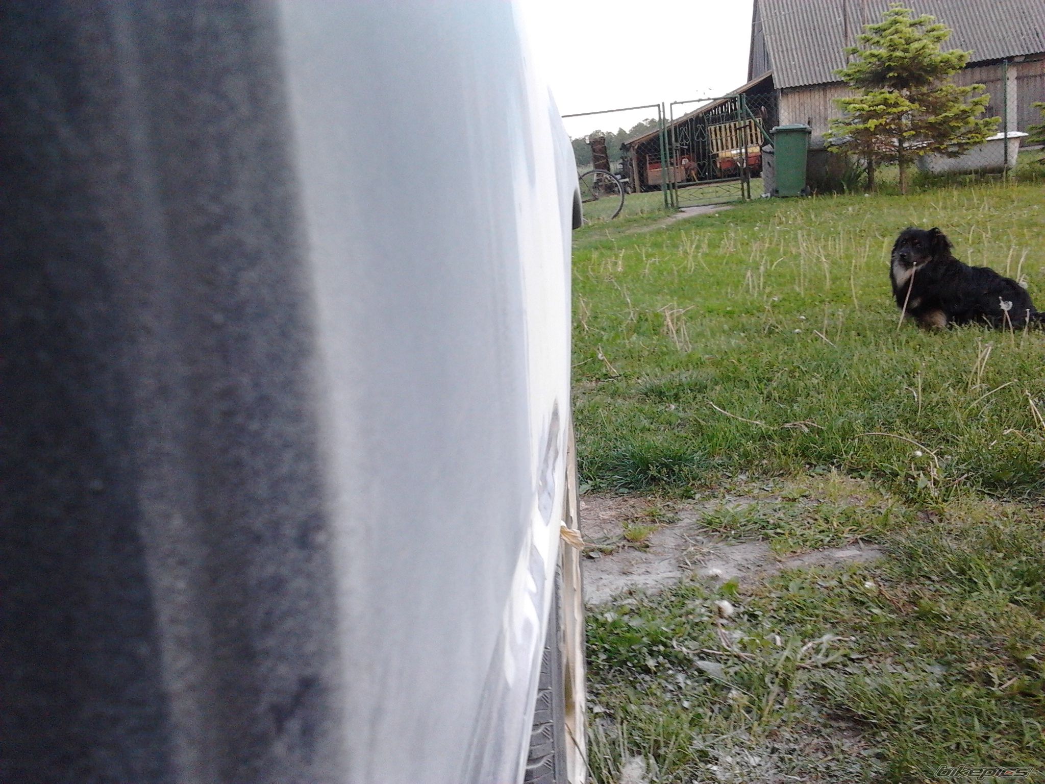 Photo 2406910