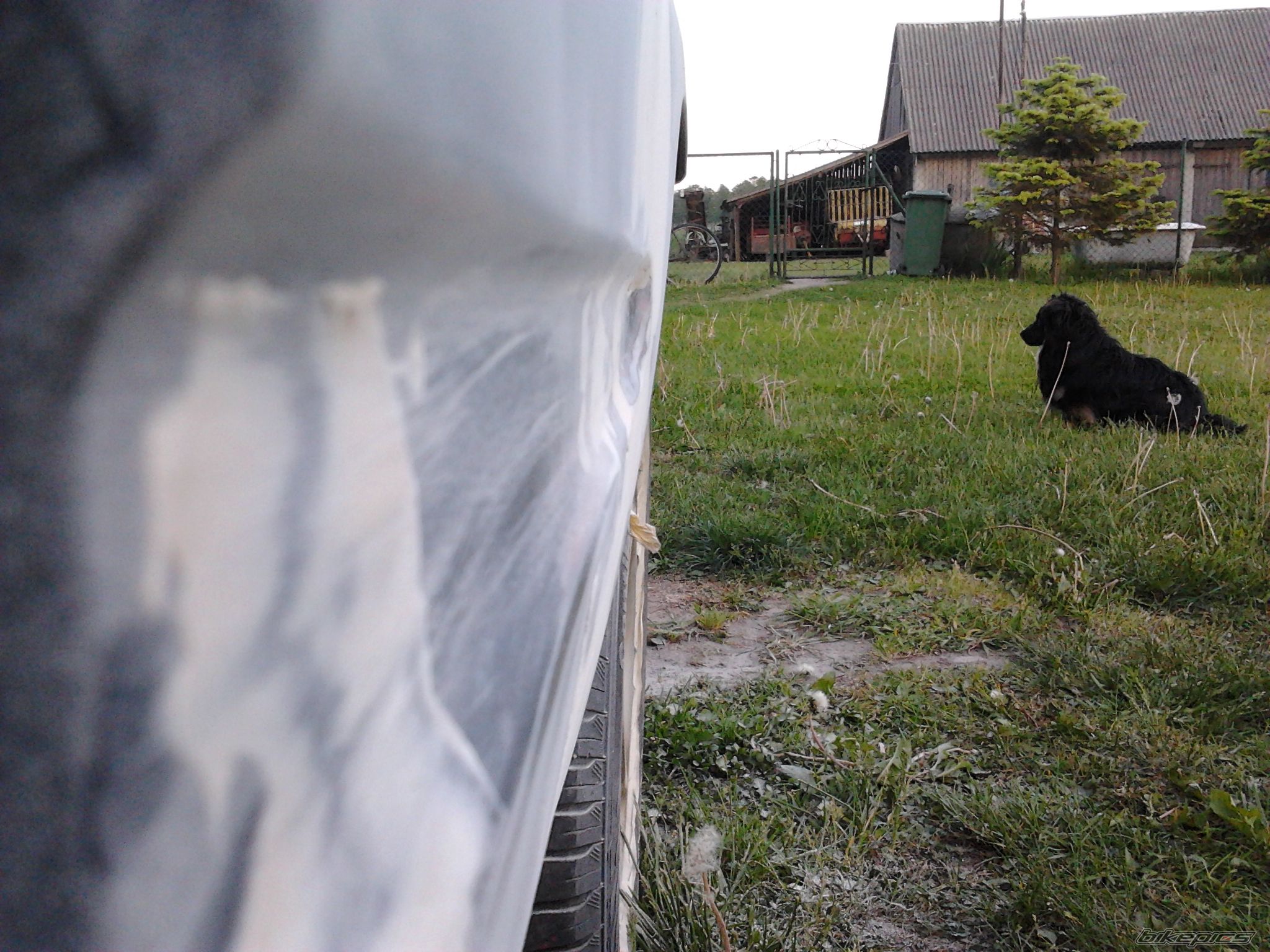 Photo 2406911