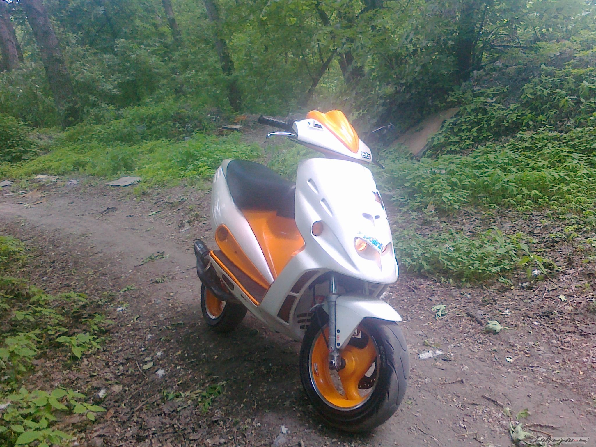 Photo 2406931