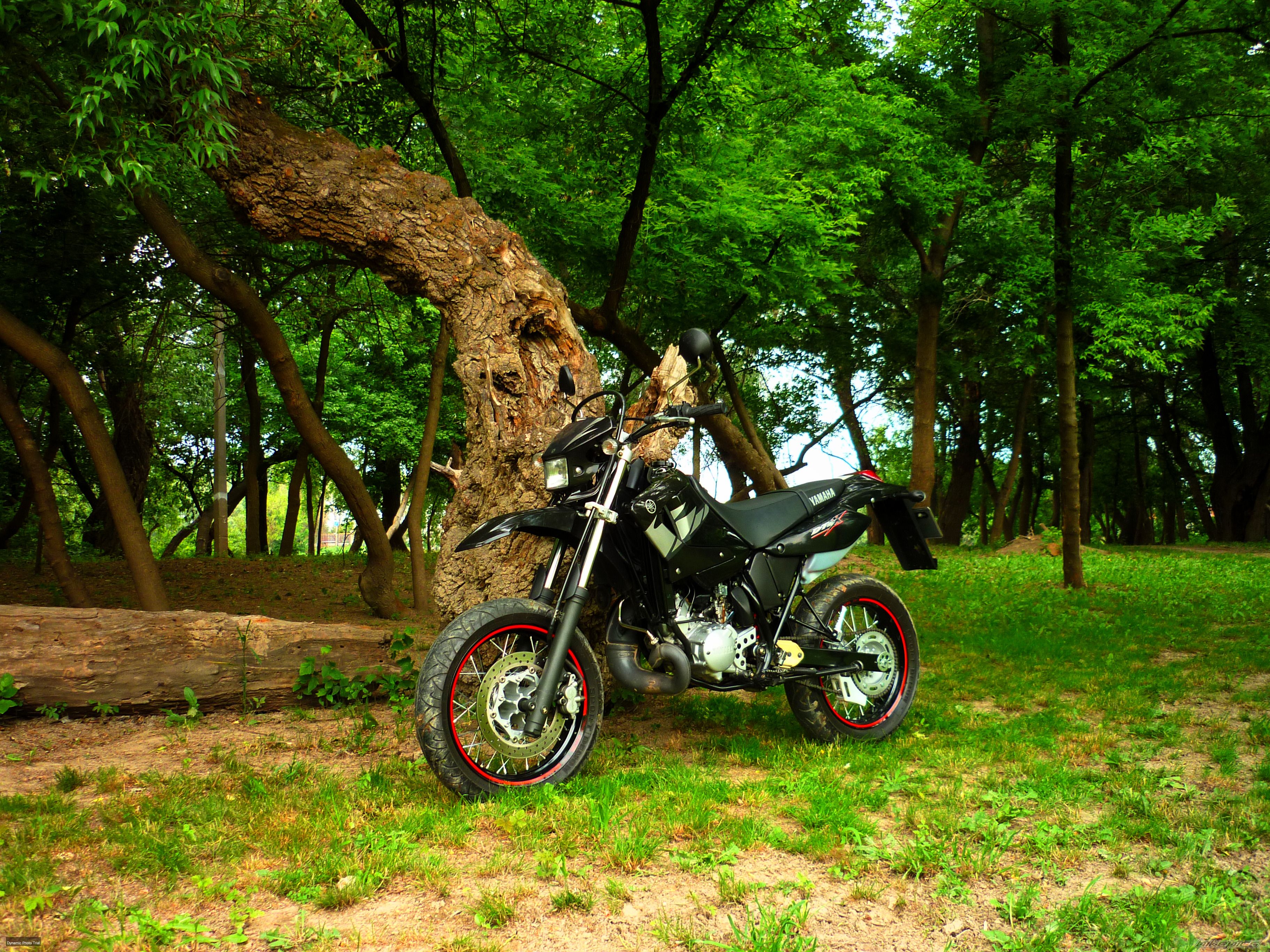 Bike Photo 2406994