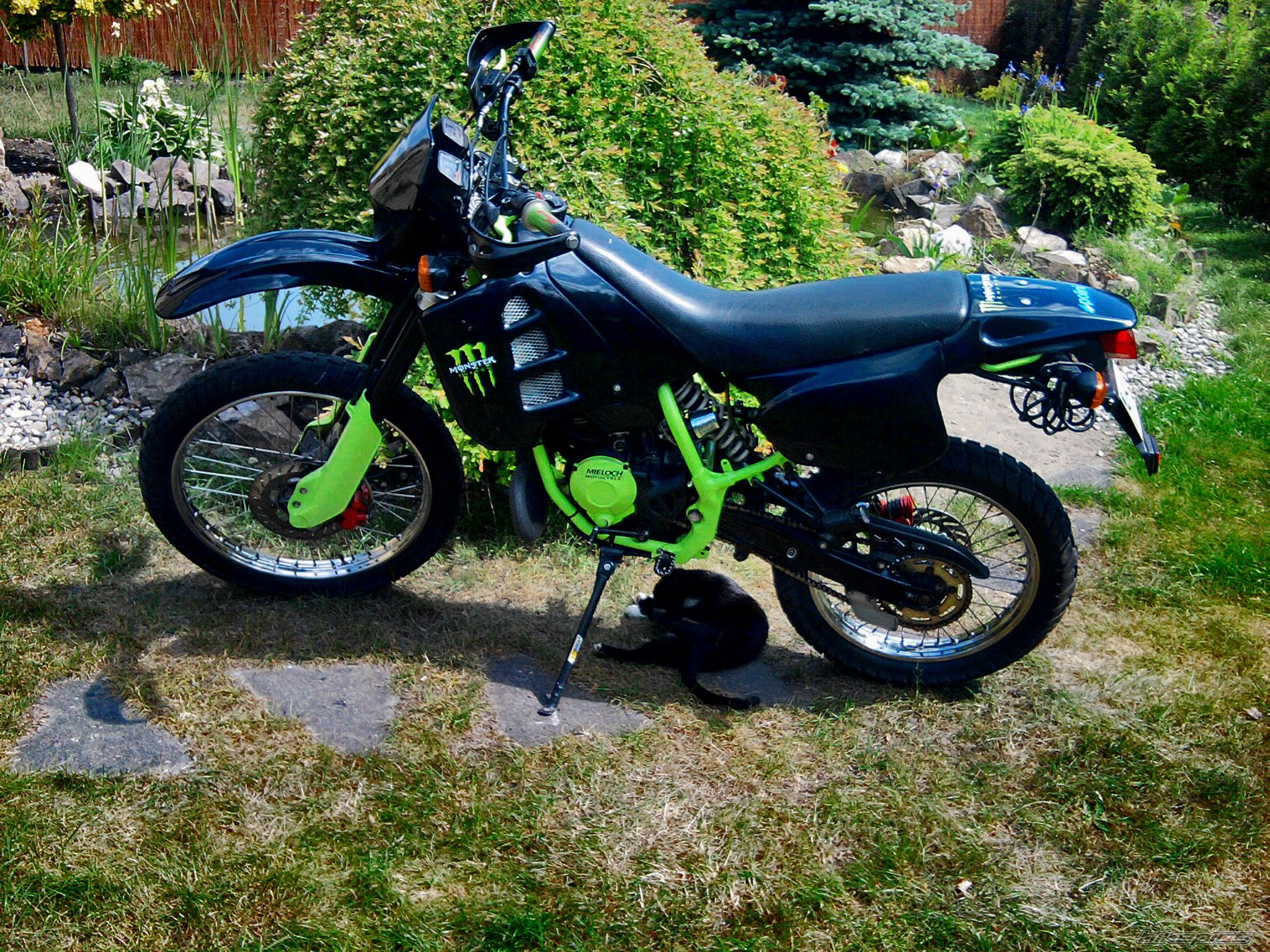 Photo 2406997