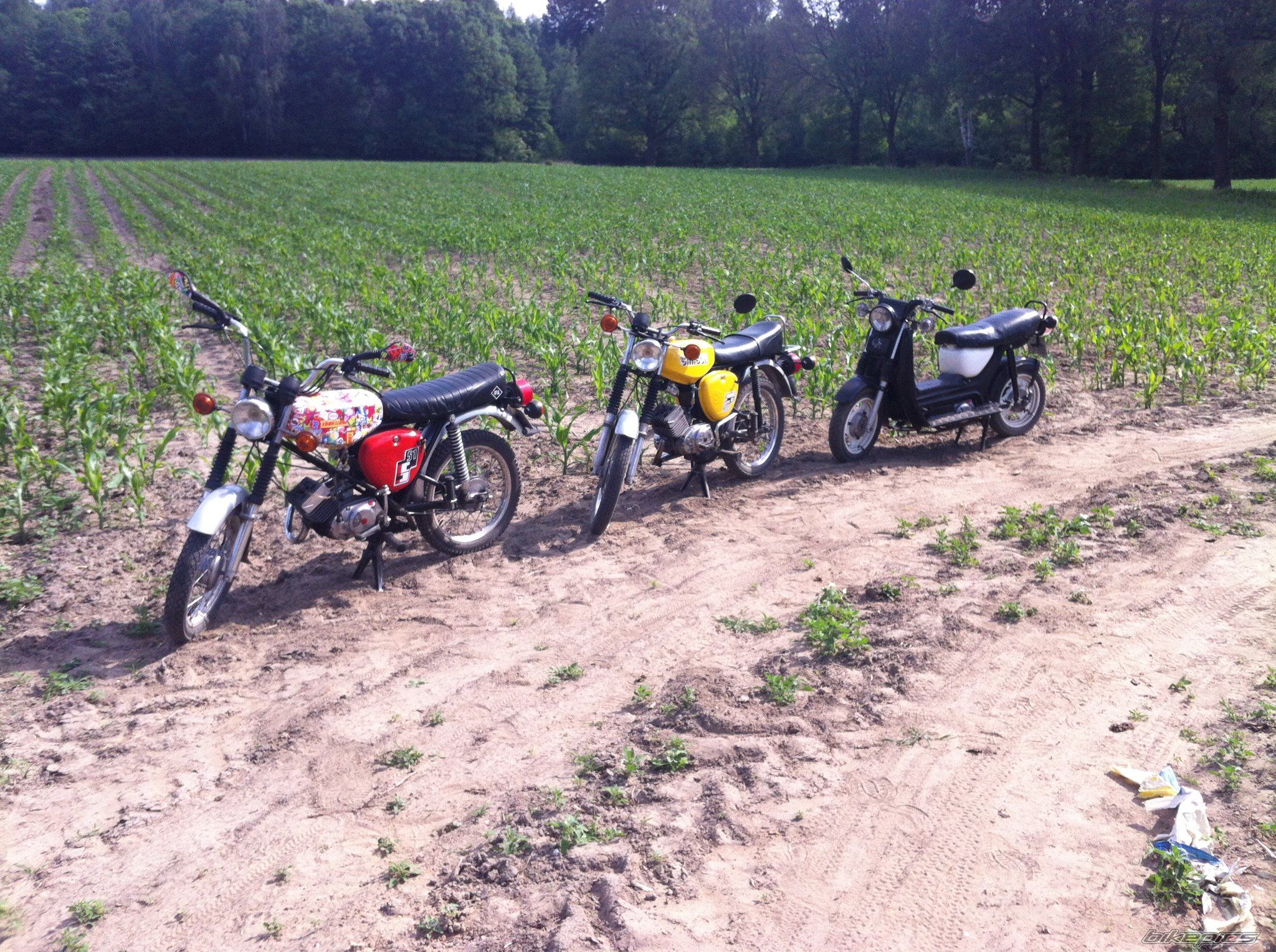 Photo 2407336