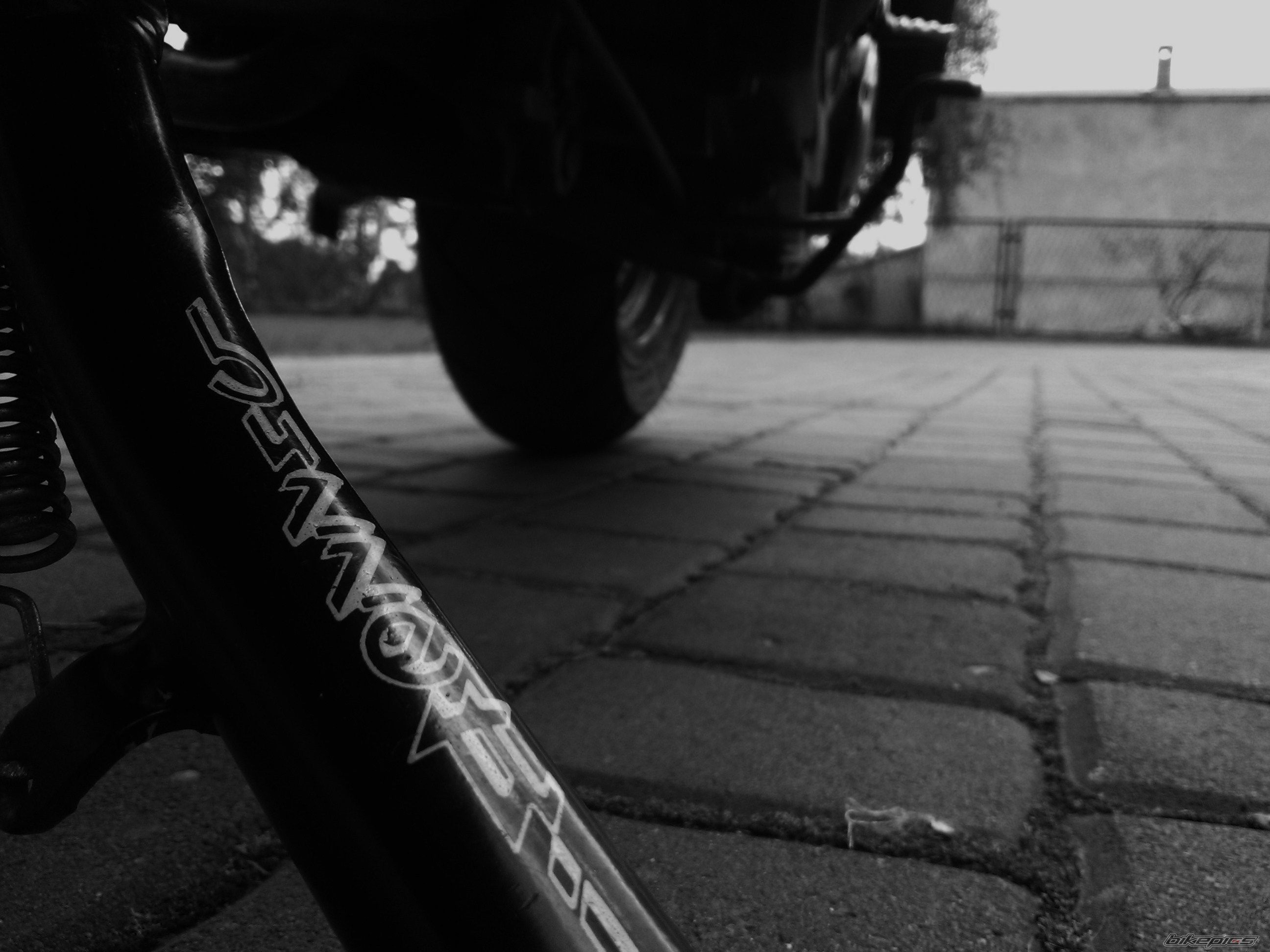 Photo 2407399