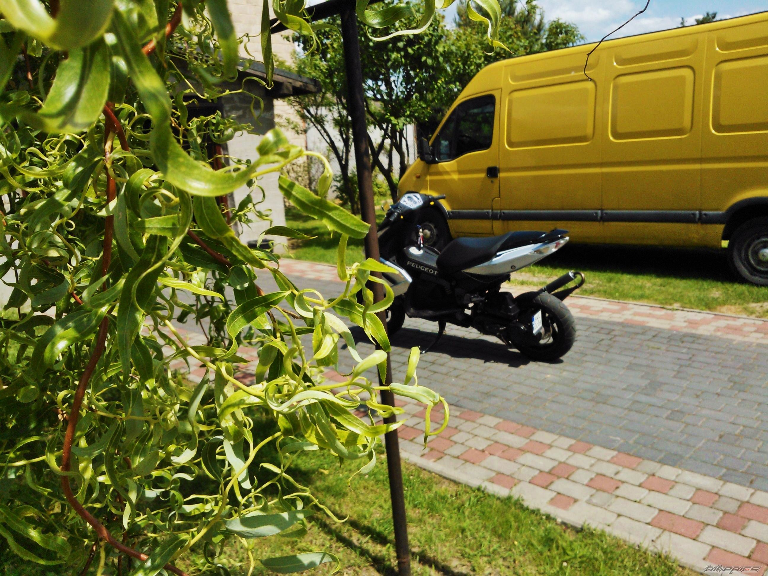 Photo 2407413