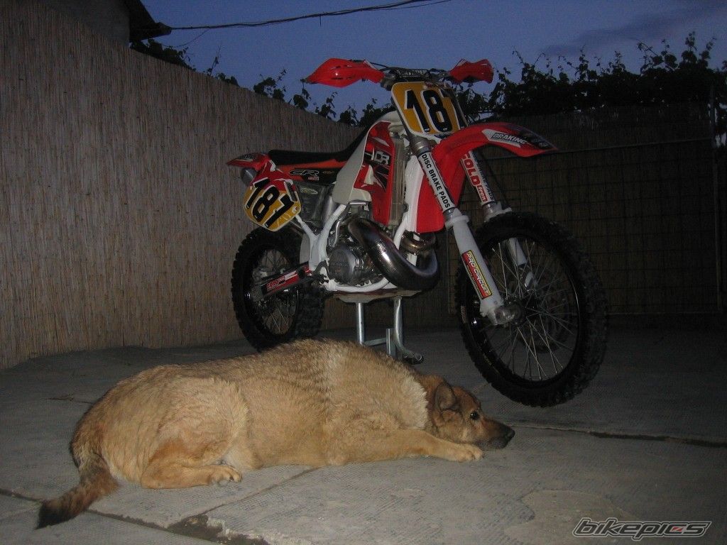 Photo 2407427