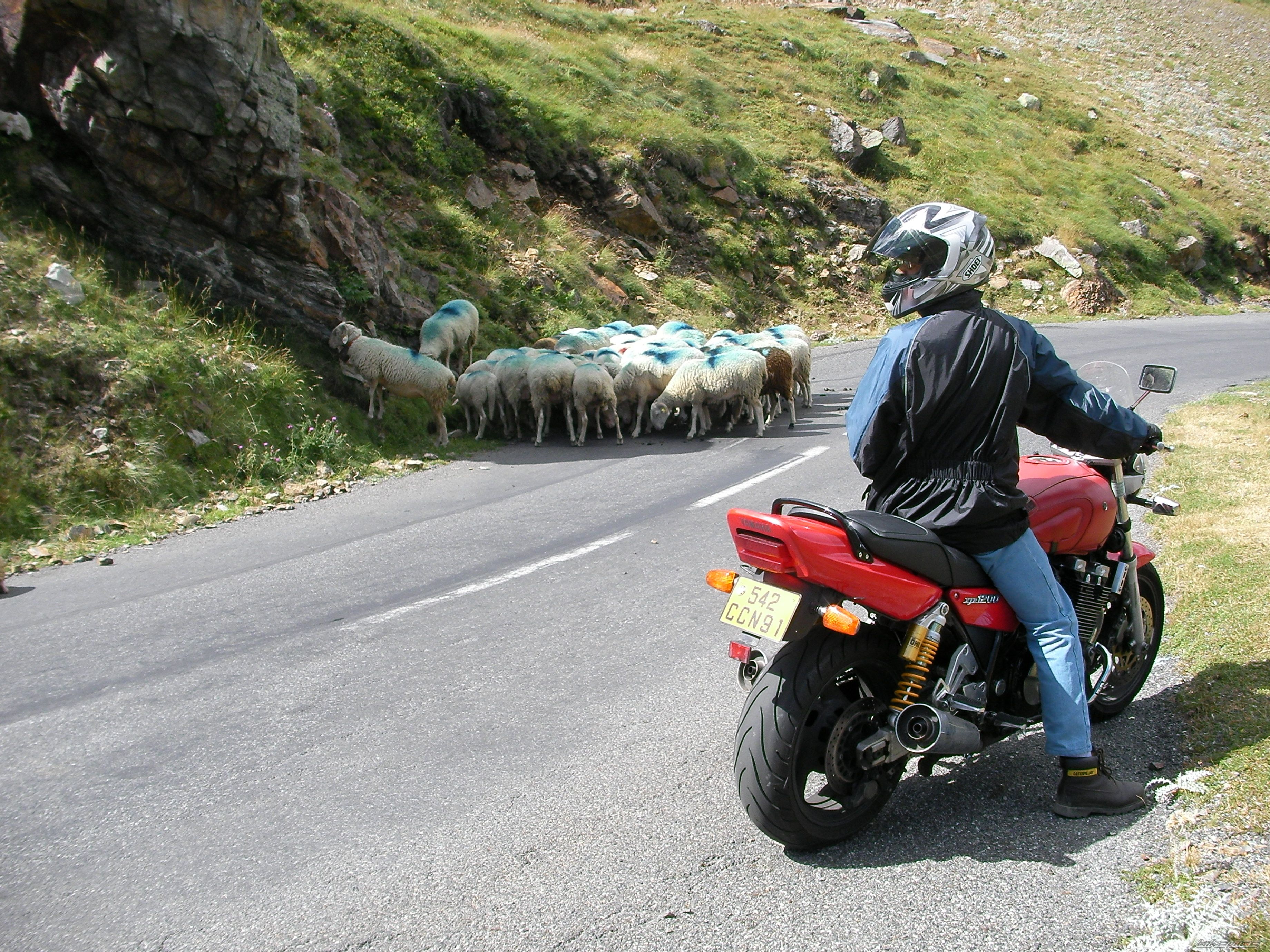 Bike Photo 2407439