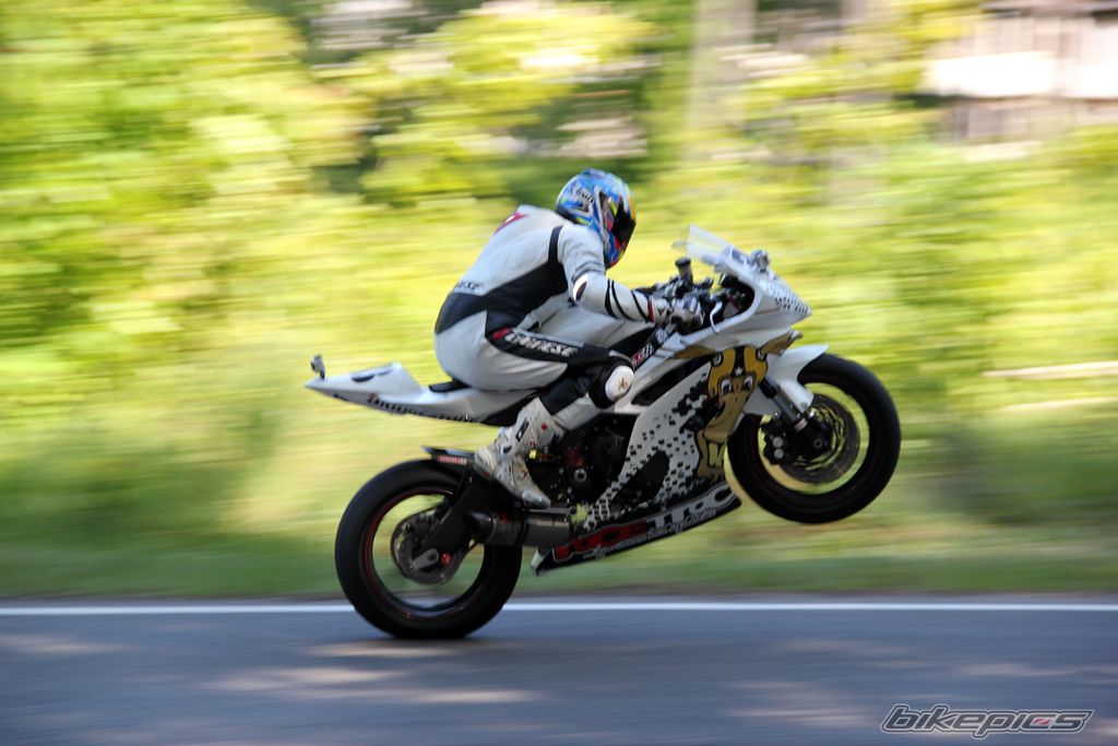 Photo 2407468