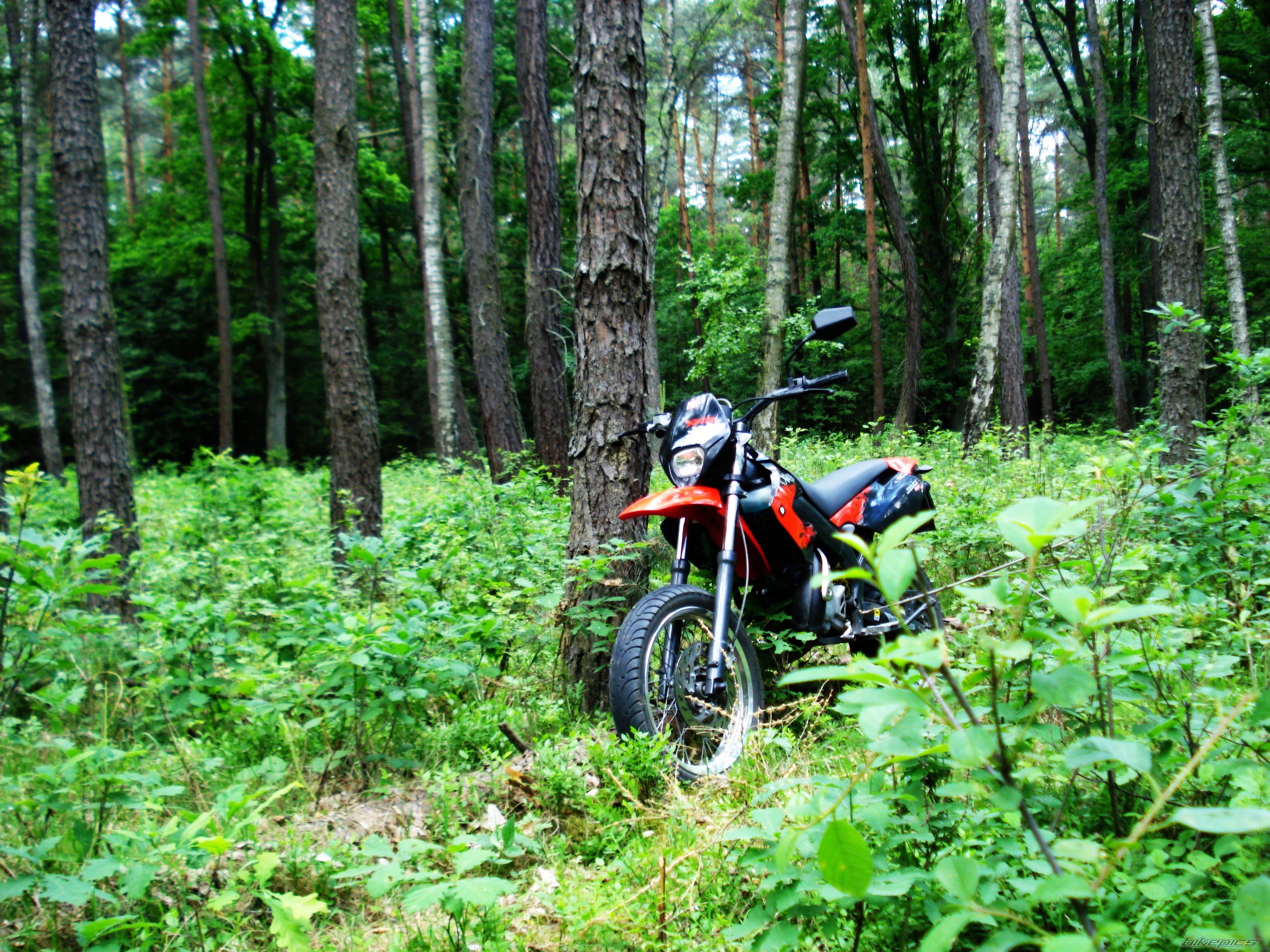 Photo 2407672