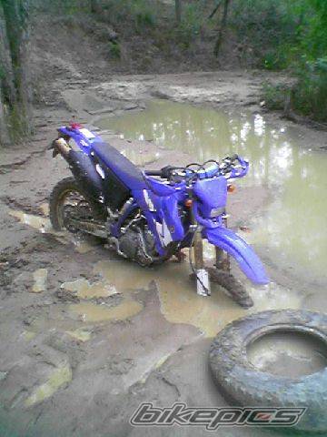 Photo 240768