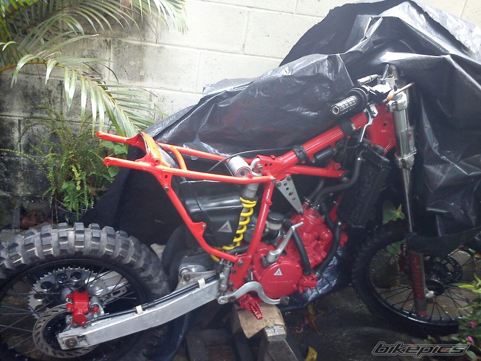 Photo 2407734