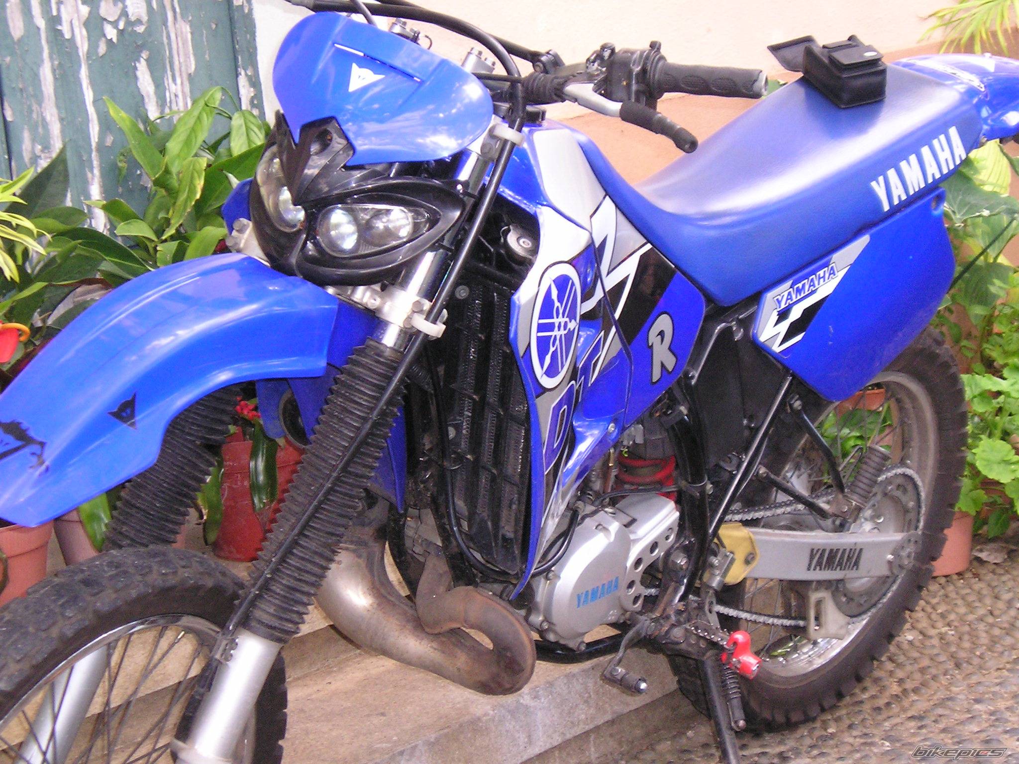 Photo 240778
