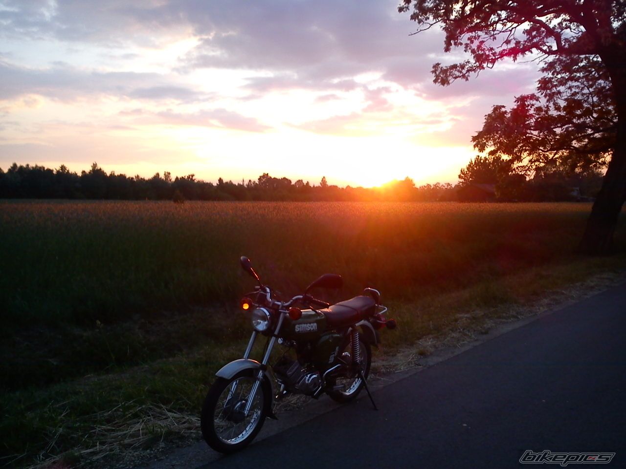 Photo 2407797