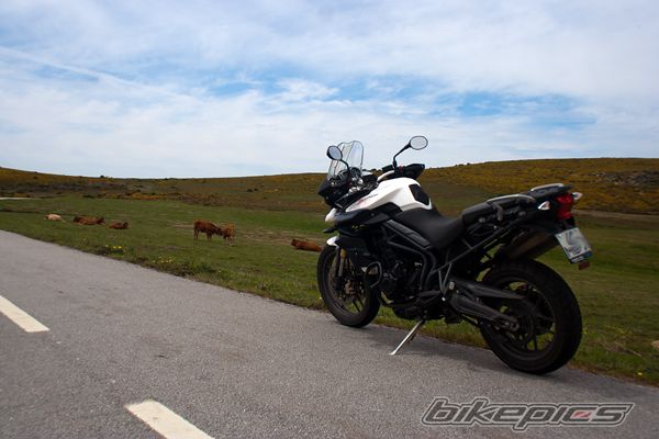 Photo 2407878