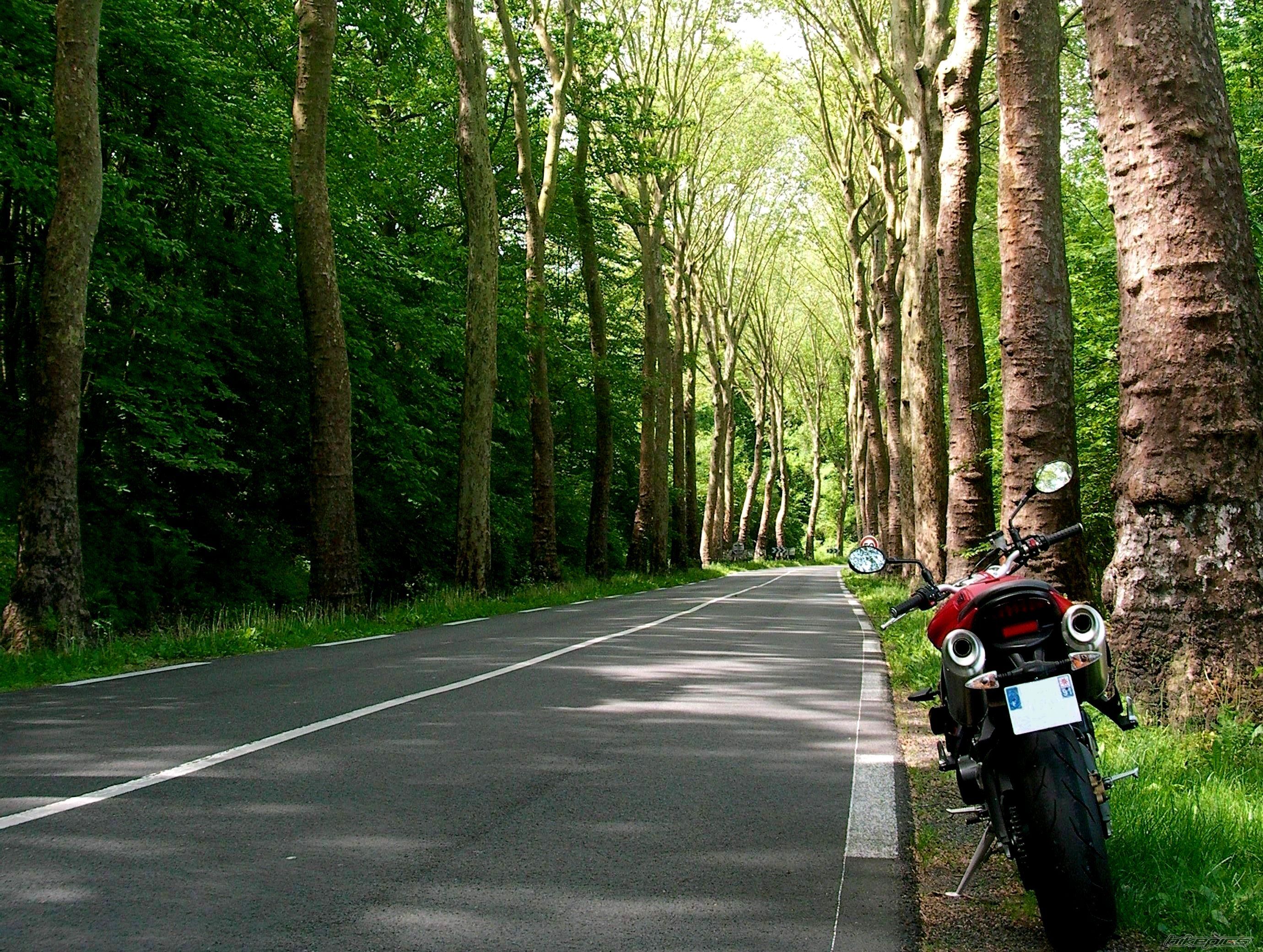 Bike Photo 2407880