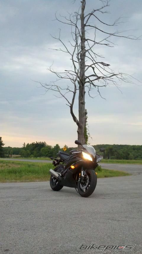 Photo 2407887
